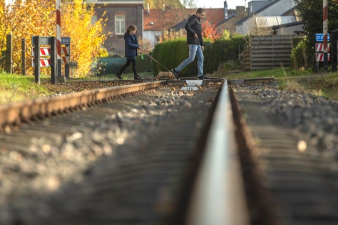 ProRail beveiligt ‘linke’ overwegen tussen Born en Limbricht voor 1,2 miljoen