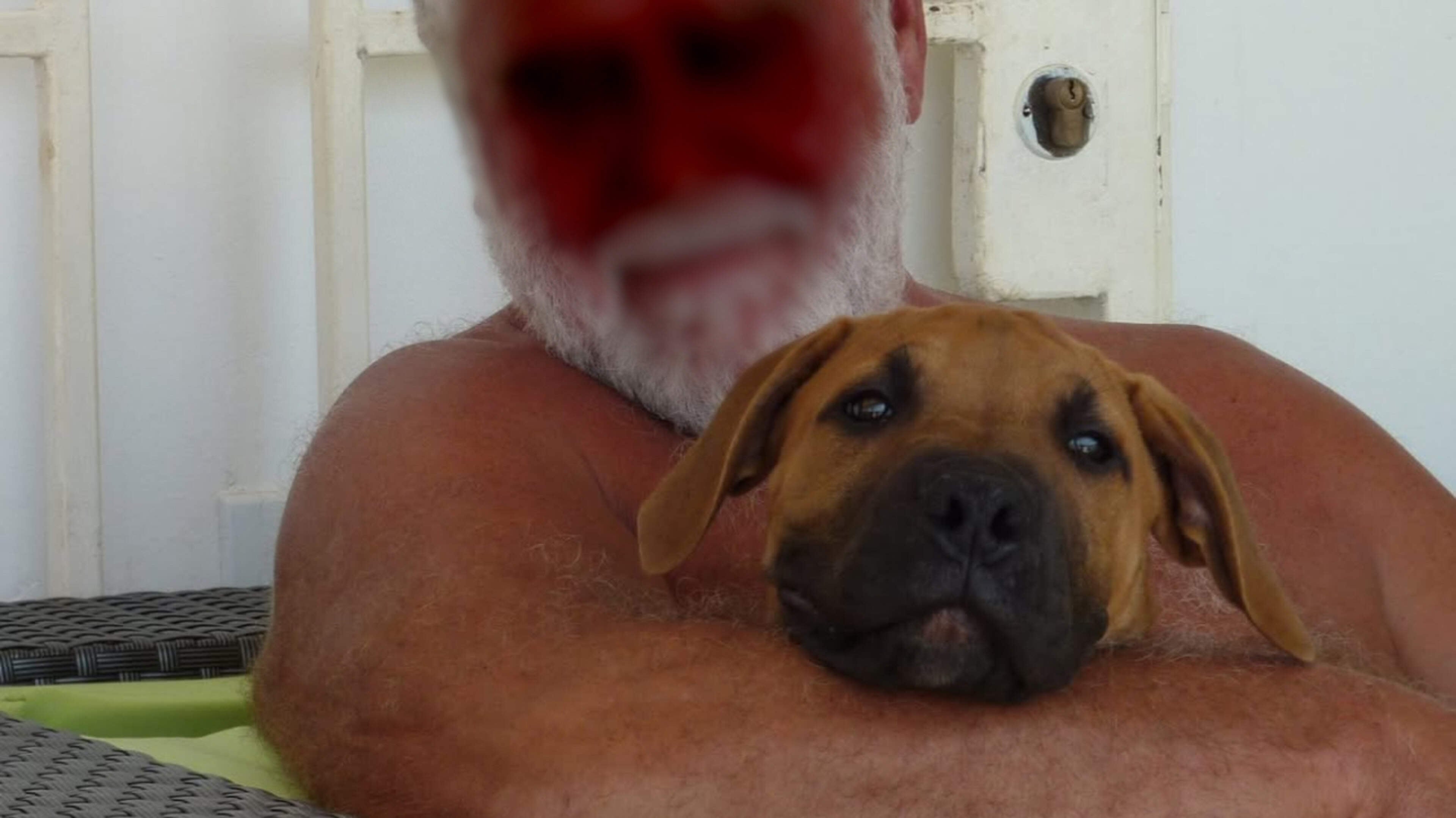 Alleen in de onderwereld komt Hitler uit Maastricht en de Kerstman uit Heerlen: zo komen bekende cri