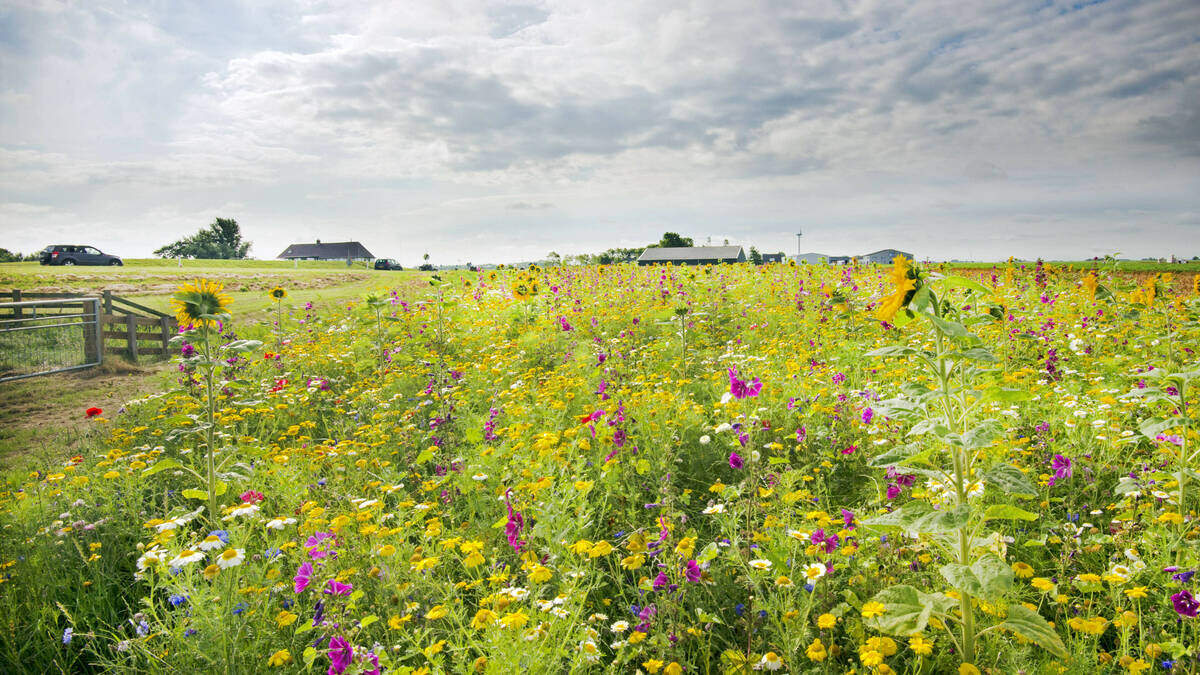 Venray Inwoners Lokale politici met inwoners en boeren in debat over samenleven in een ...