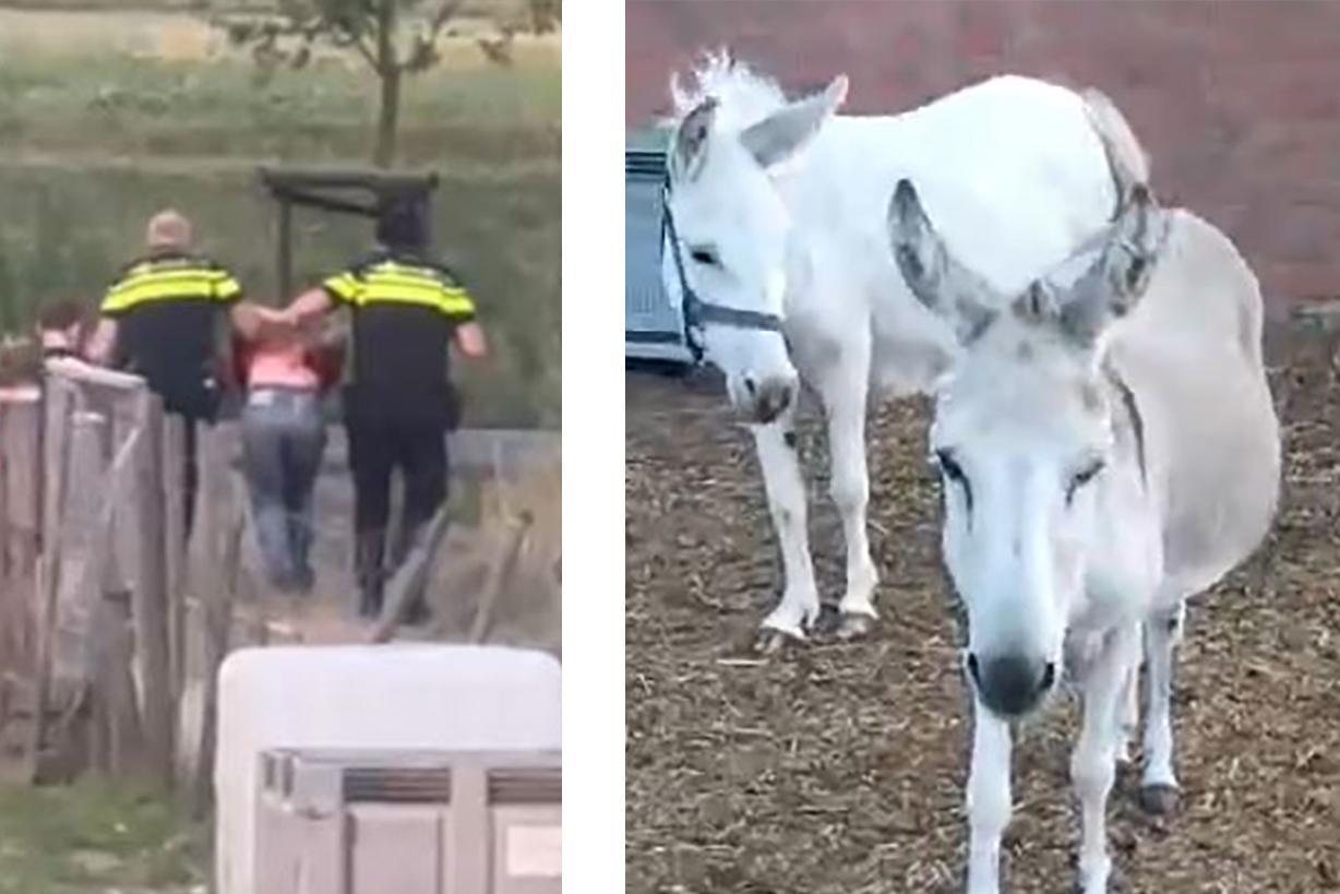Janou klaagt politie aan; ze vindt dat ze ten onrechte is gearresteerd bij inbeslagname dieren in Br