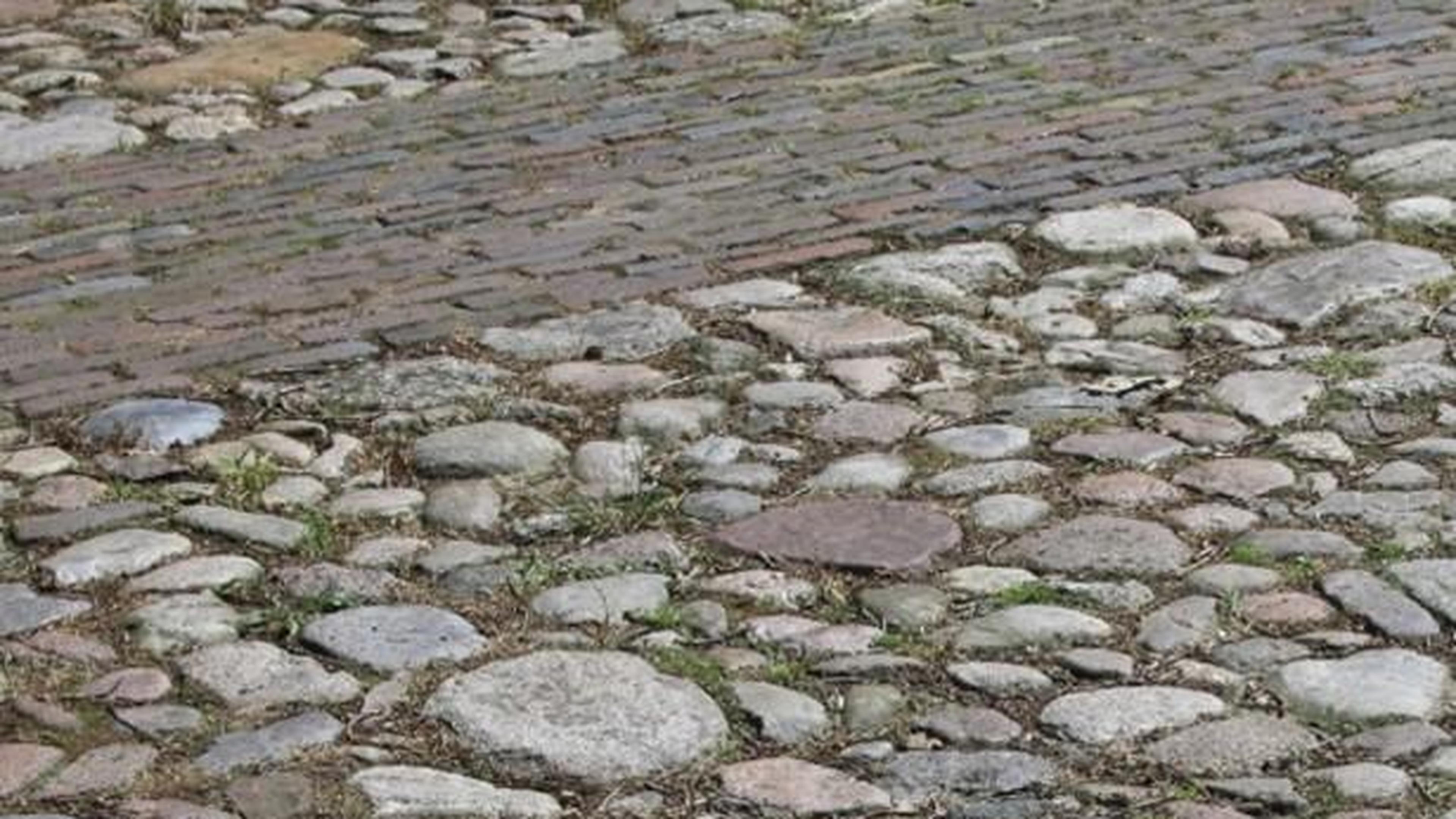 Lezing over de geologische opbouw van het witte stadje Thorn