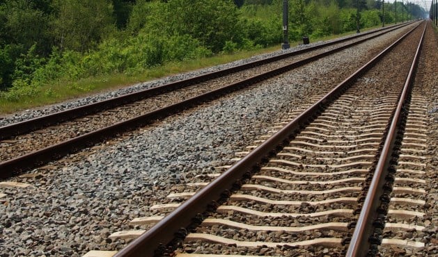 Storing verholpen: treinverkeer tussen Roermond en Sittard weer op gang