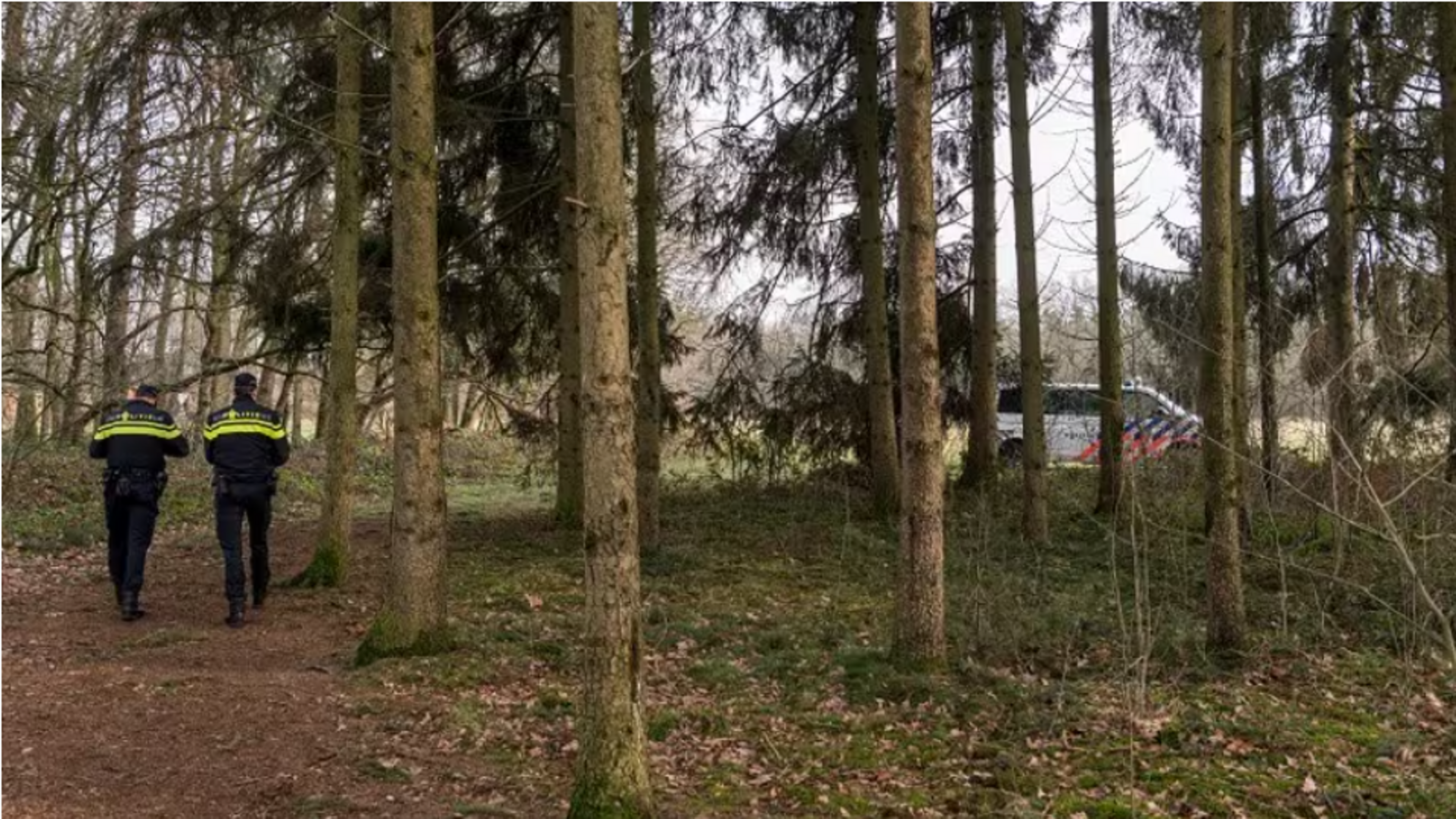 Man uit Leudal opgepakt nadat illegale vuurwapens en vangmiddelen in zijn huis zijn aangetroffen