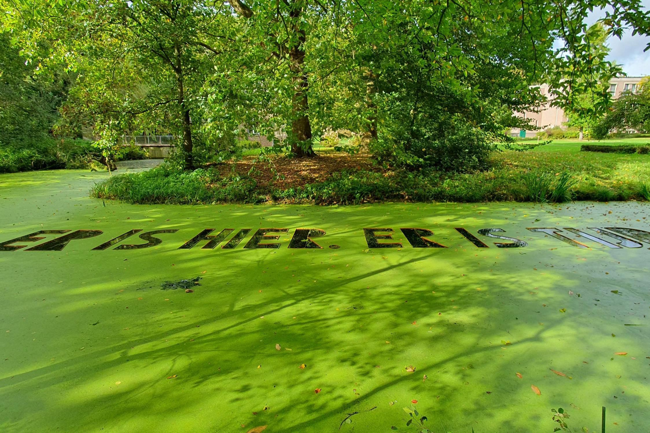 Landart Leudal beleeft tweede editie: kunst kijken in de tuin van voormalig klooster Sint Elisabeth 