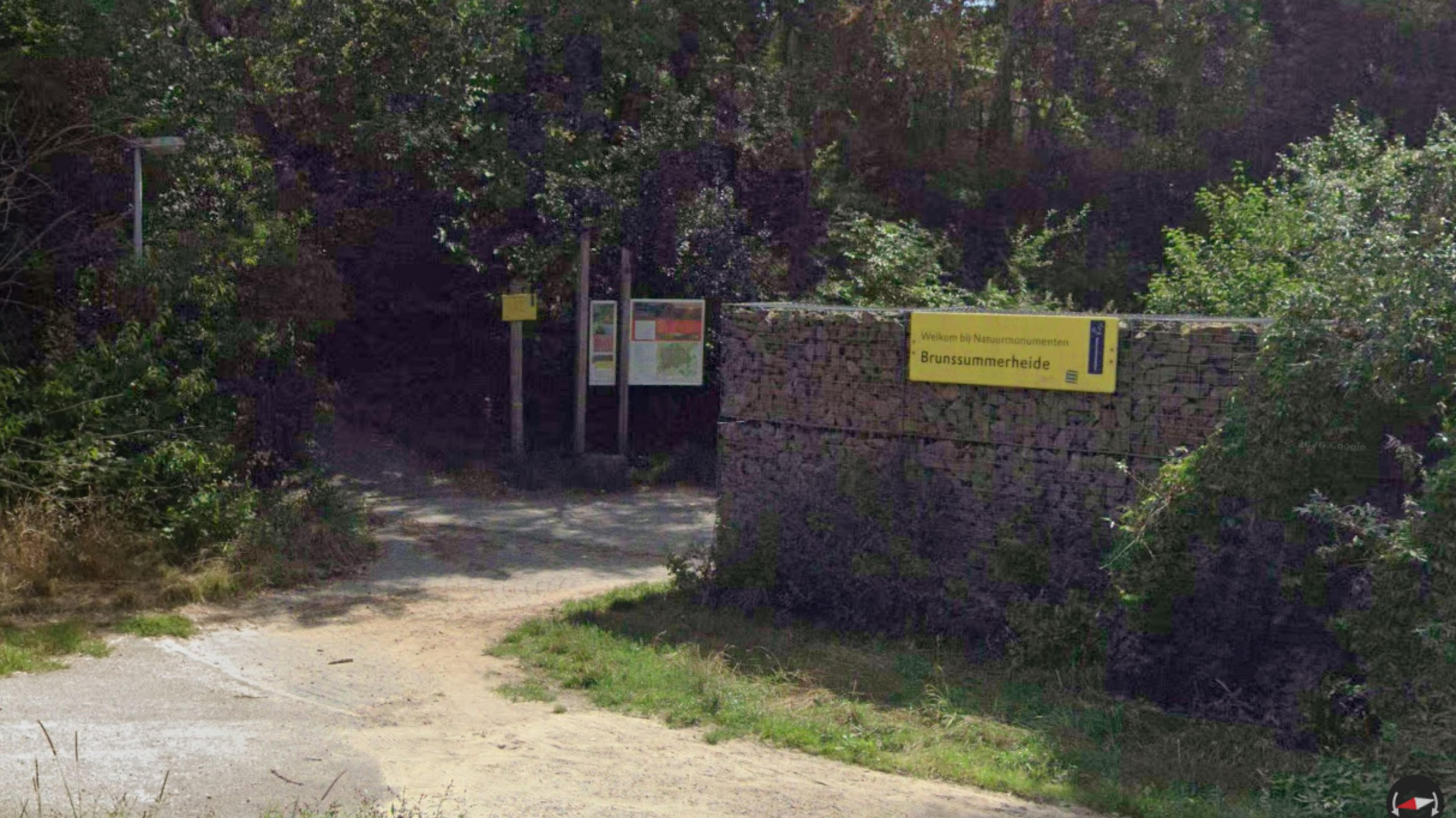 Lugubere vondst op de Brunssummerheide: kadavers van twee honden roepen veel vragen op