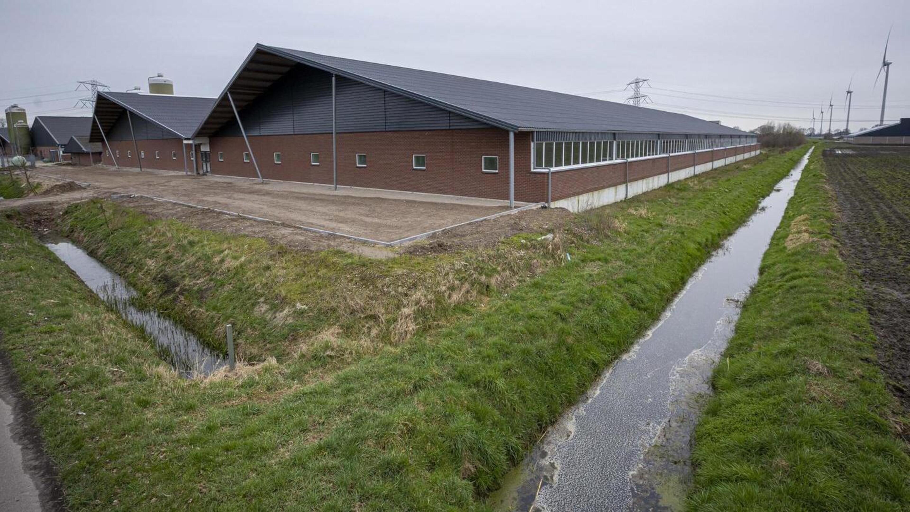 Besluit over giga uitbreiding varkensbedrijf Egchel in ijskast: ‘Gevolgen stikstofuitspraak niet dui