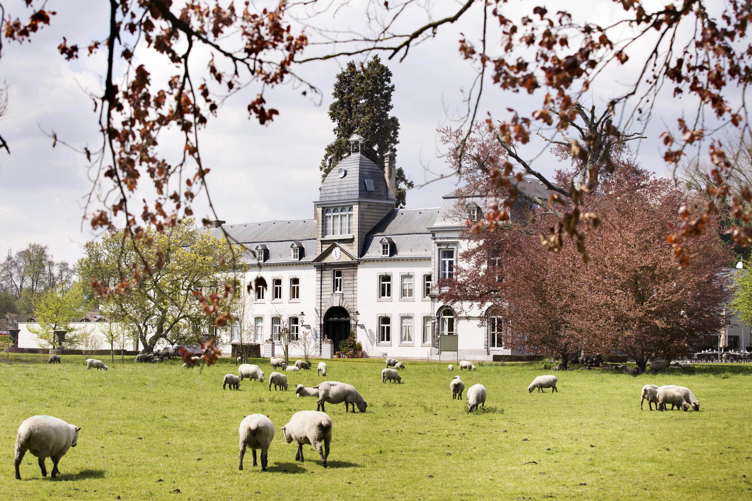 Lotgenotendag op Buitenplaats Vaeshartelt voor mensen met hoofd- en halskanker