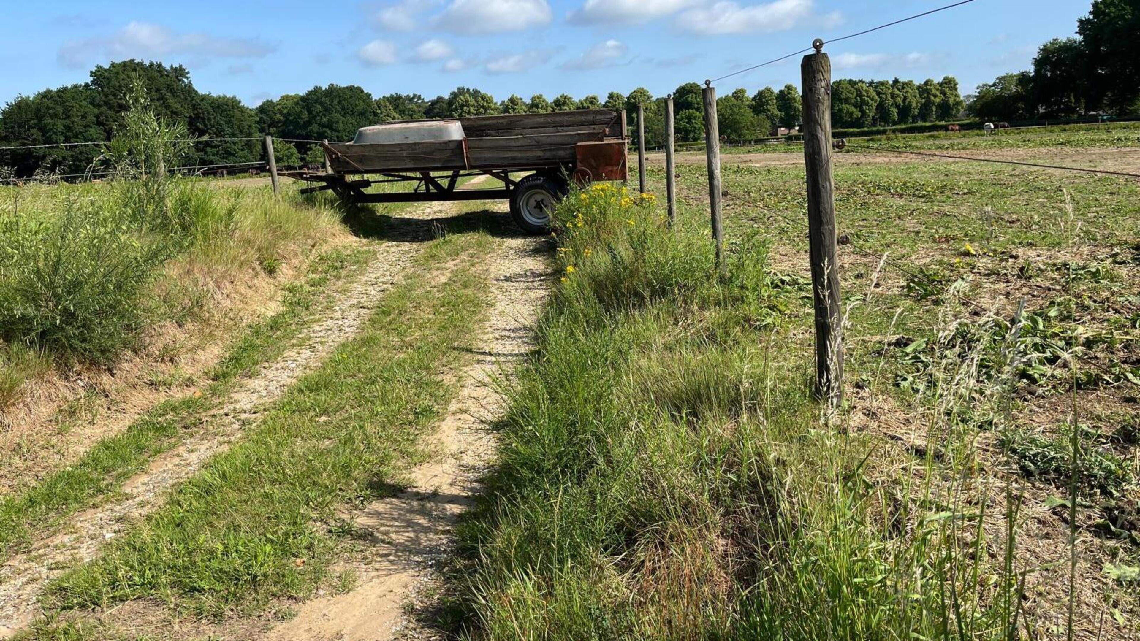 Een gebarricadeerde weg, nachtelijke patrouilles en camera’s tegen mogelijke paardendieven in Herken
