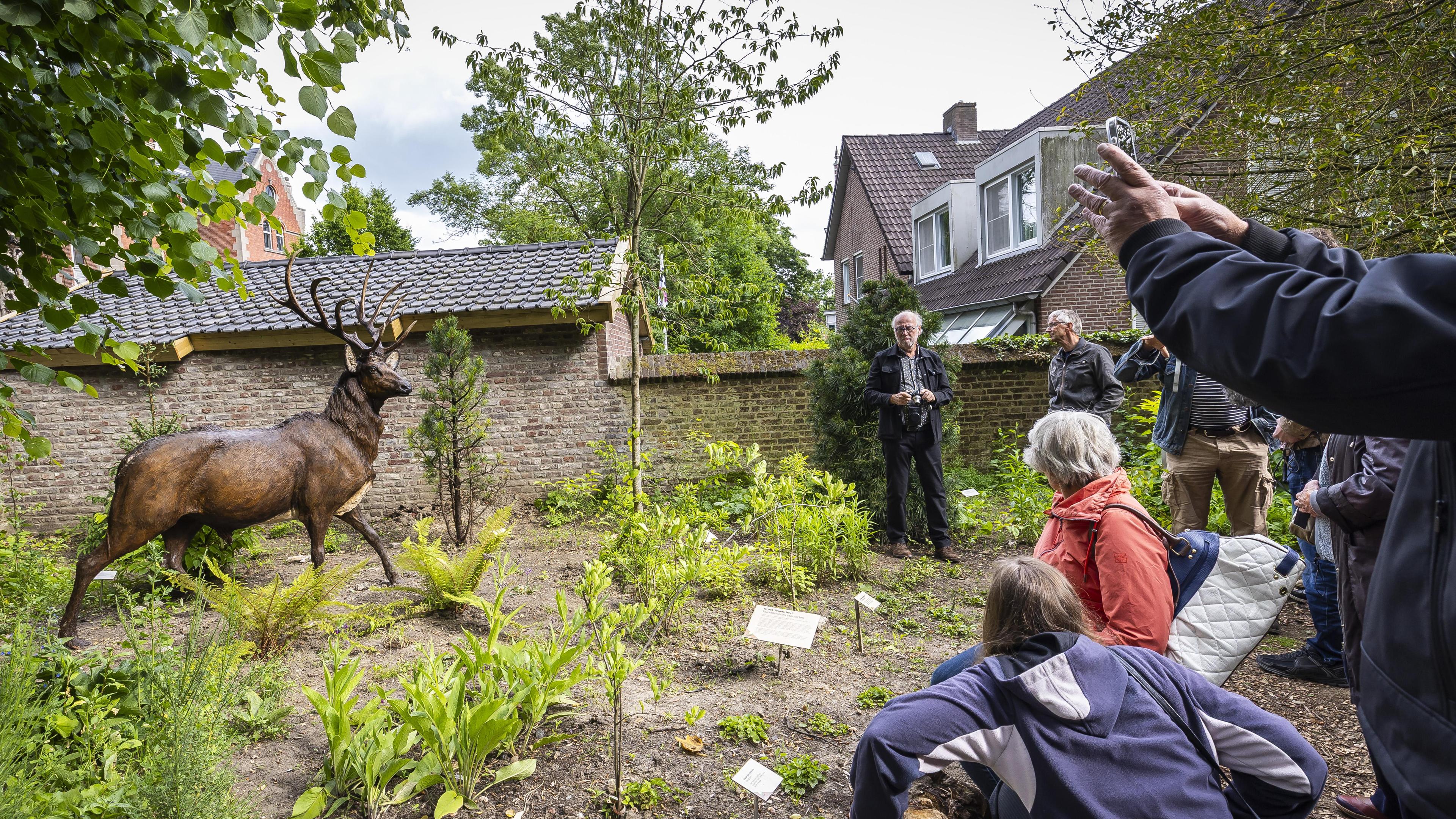 Twee miljoen jaar geleden struinden neushoorns en apen rond Venlo en stroomde bij Tegelen de Rijn: ‘