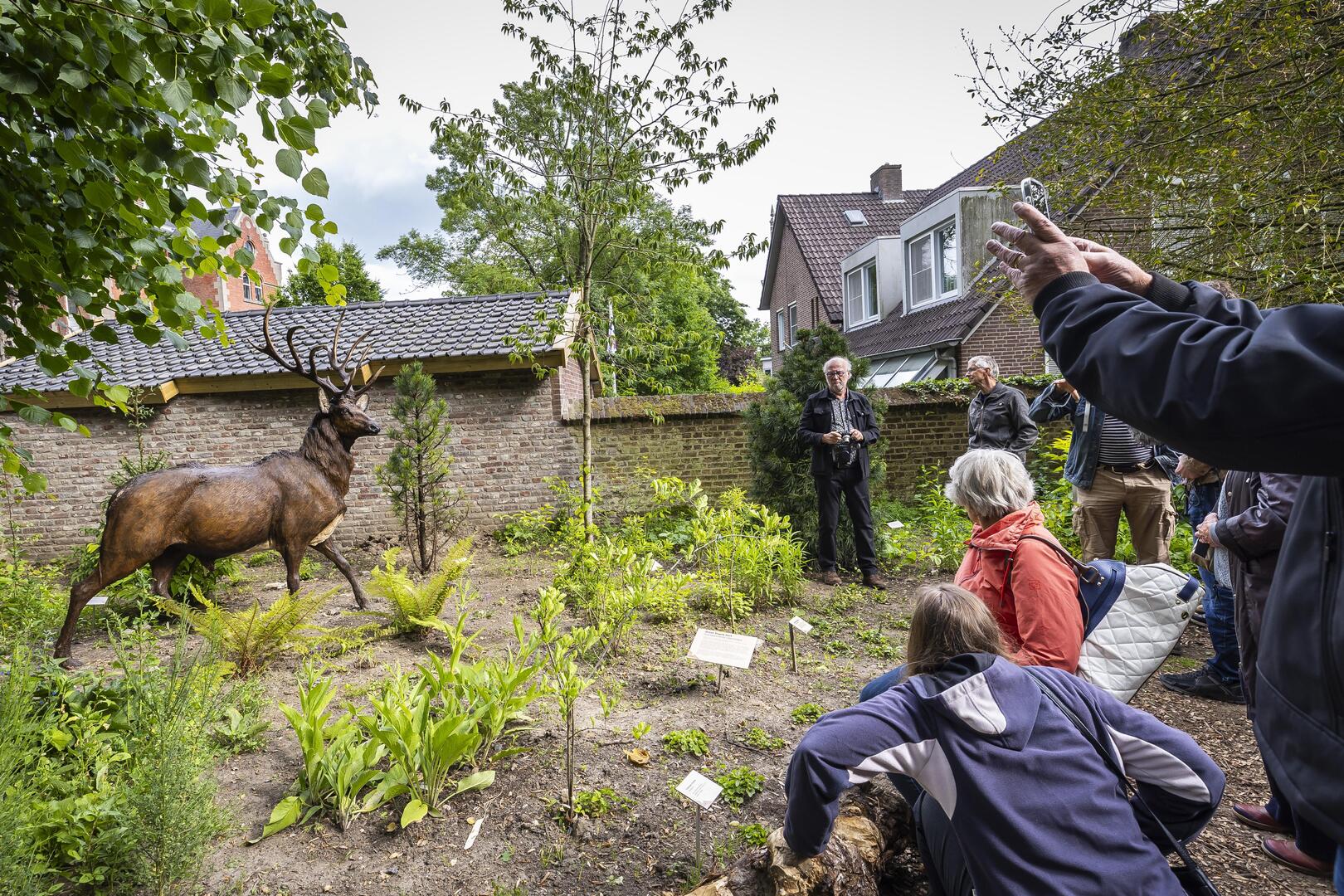 Twee miljoen jaar geleden struinden neushoorns en apen rond Venlo en  stroomde bij Tegelen de Rijn: 'Mensen moeten een andere kijk krijgen op wat  inheems is' | De Limburger