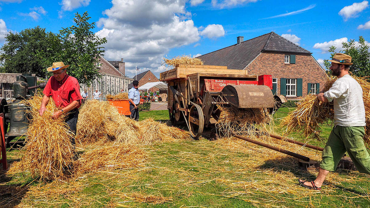 Afbeelding bij Oude tradities herleven op Oogstdag in Melderslo met demonstraties en voor het eerst ook een dankviering