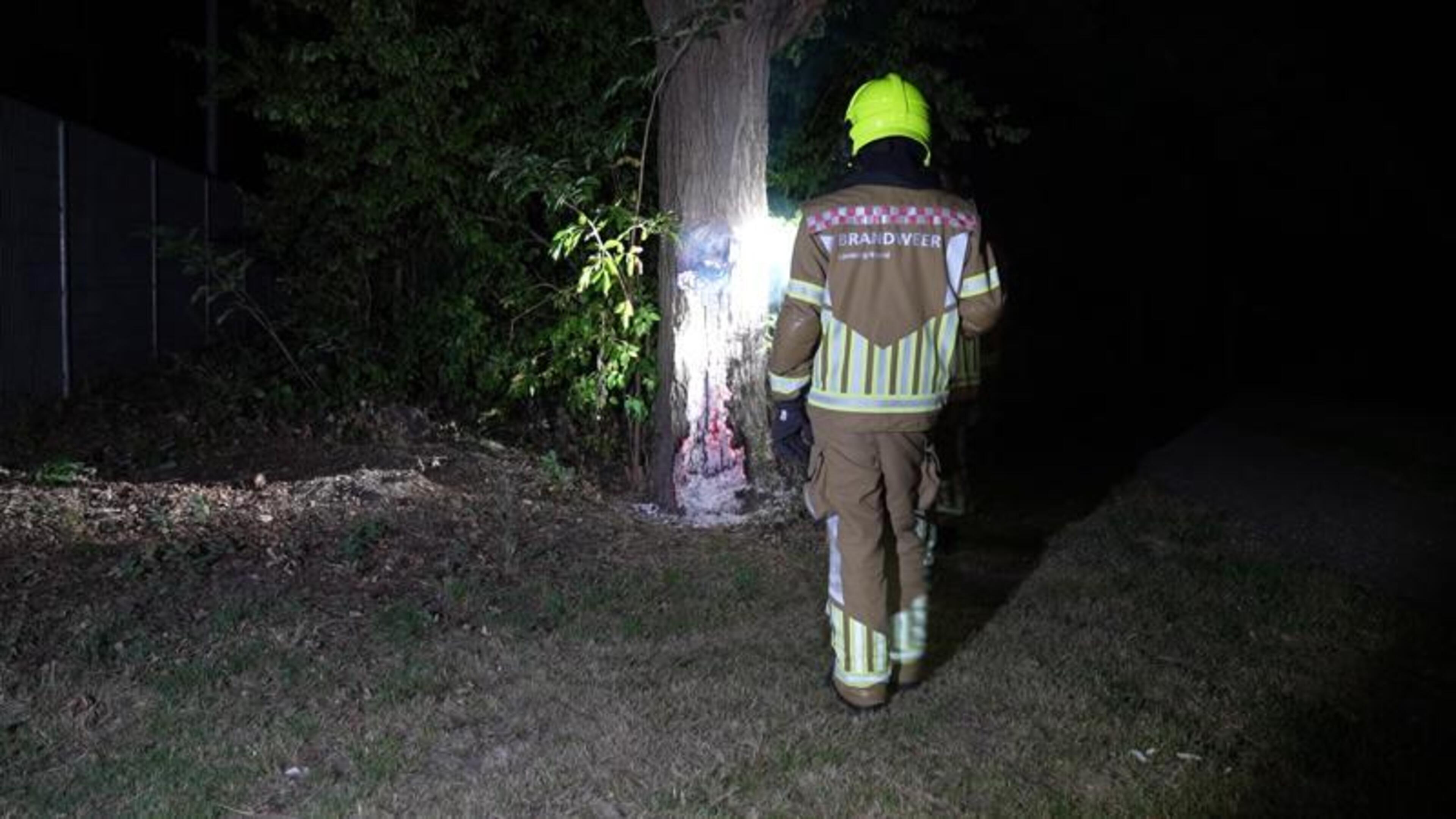Brandweer geplaagd door hoornaar bij blussen brand in Weert