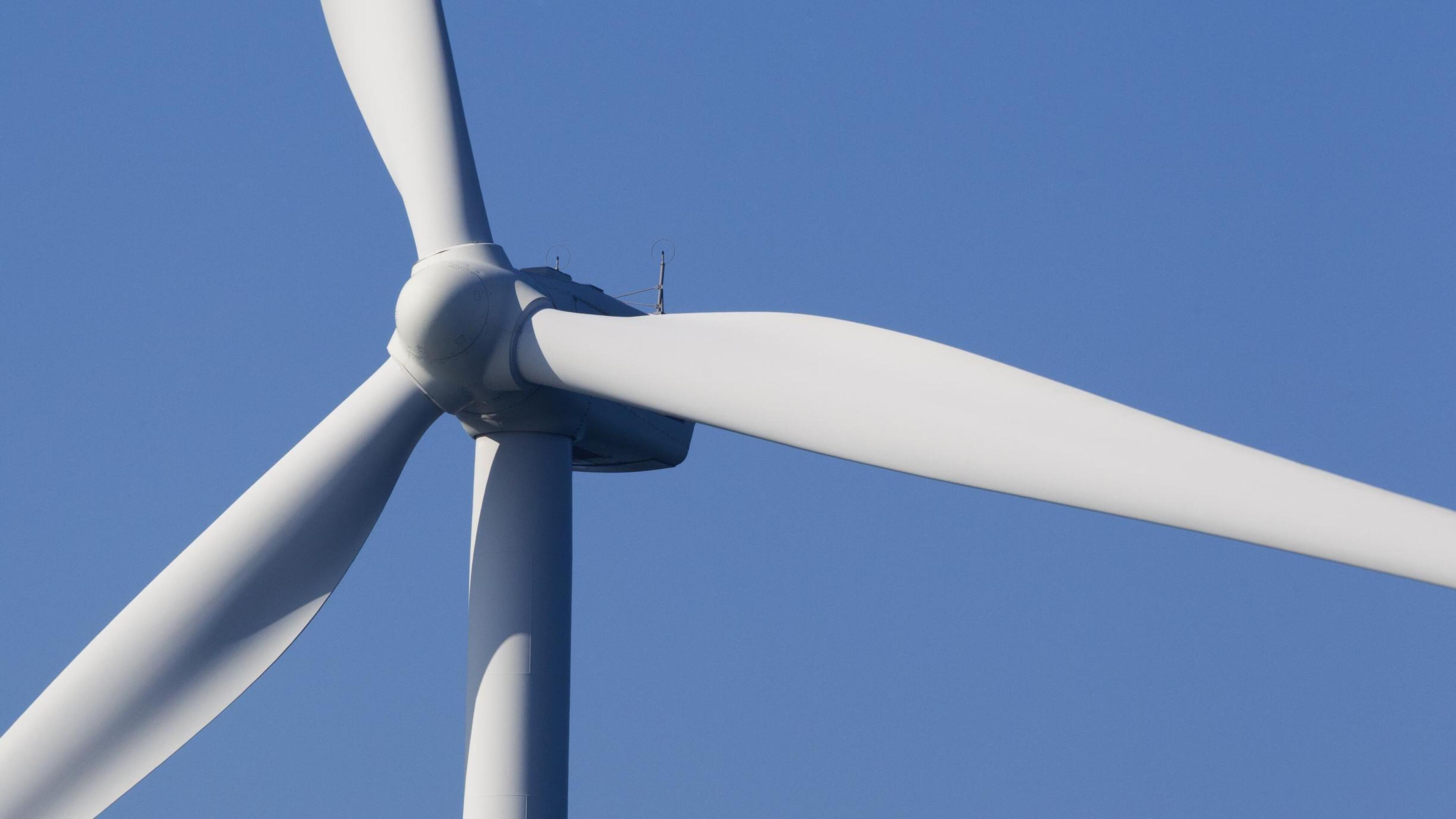Roerdalen stelt grond veilig voor bouw windmolens in buitengebied van Montfort