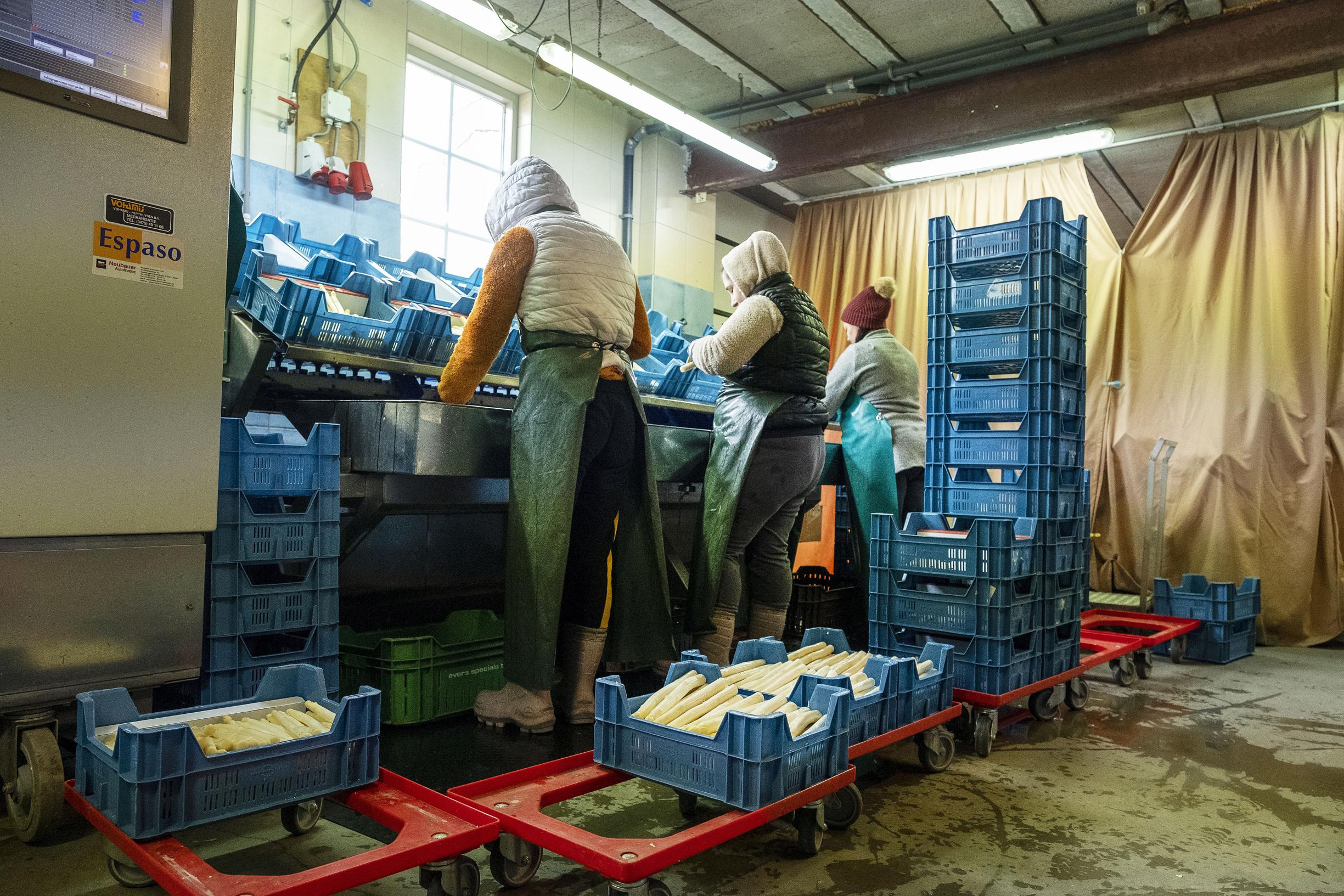 In%20Limburg%20werken%20jaarlijks%20naar%20schatting%20zon%2080.000%20arbeidsmigranten%20de%20verwachting%20is%20dat%20dit%20a