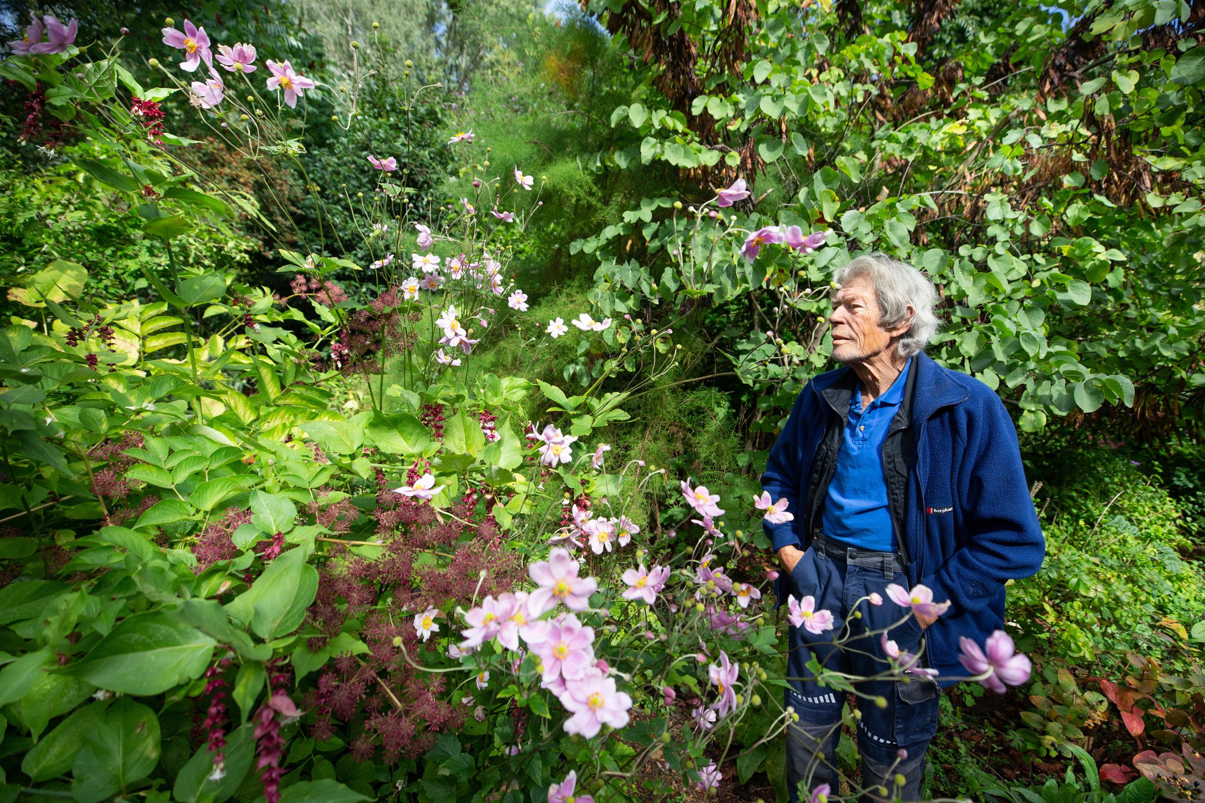 Planten uit alle windstreken in tuin bij monumentale hoeve Oirsbeek: Joop Lambers moet levenswerk me