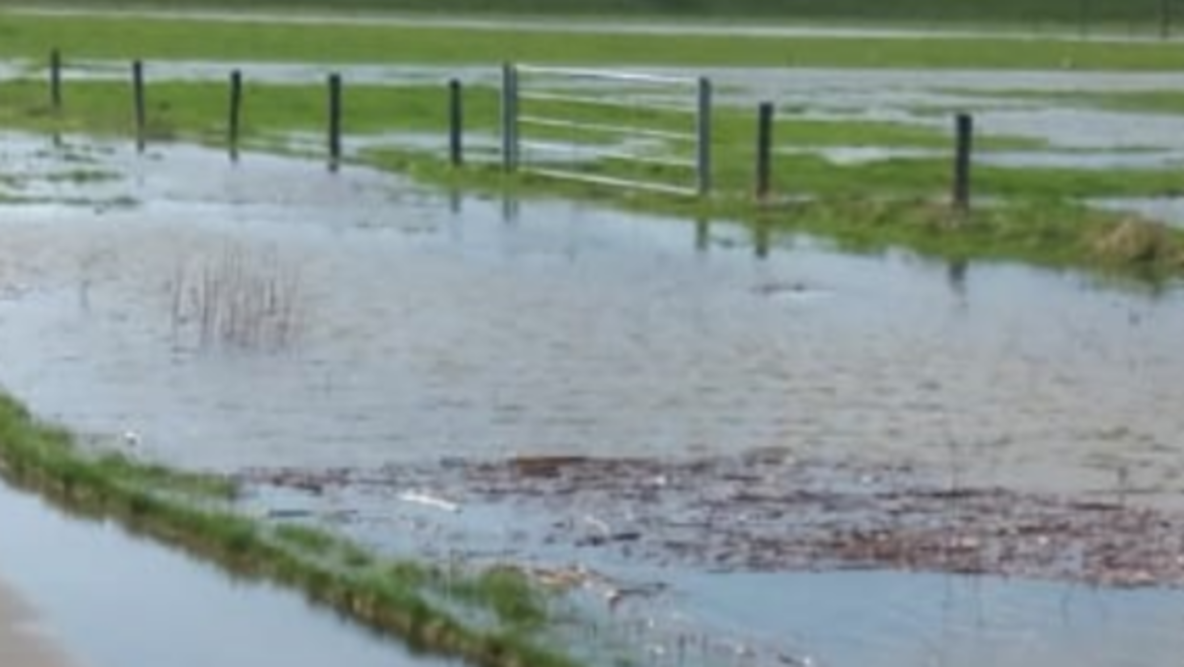 Gemeente Bergen houdt hogere waterstand in de gaten