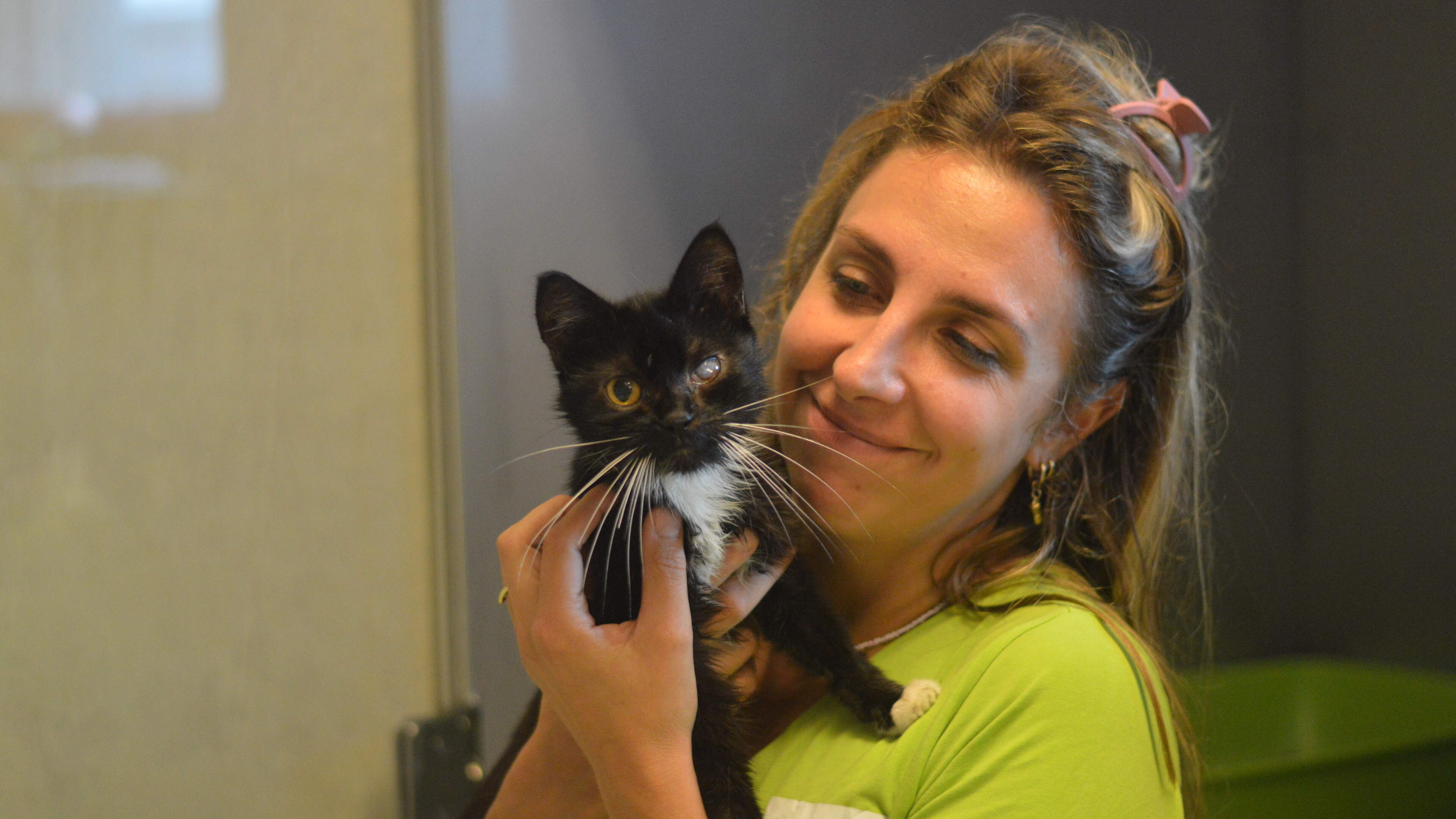 Het is weer volle (katten)bak bij de dierenopvang in Born
