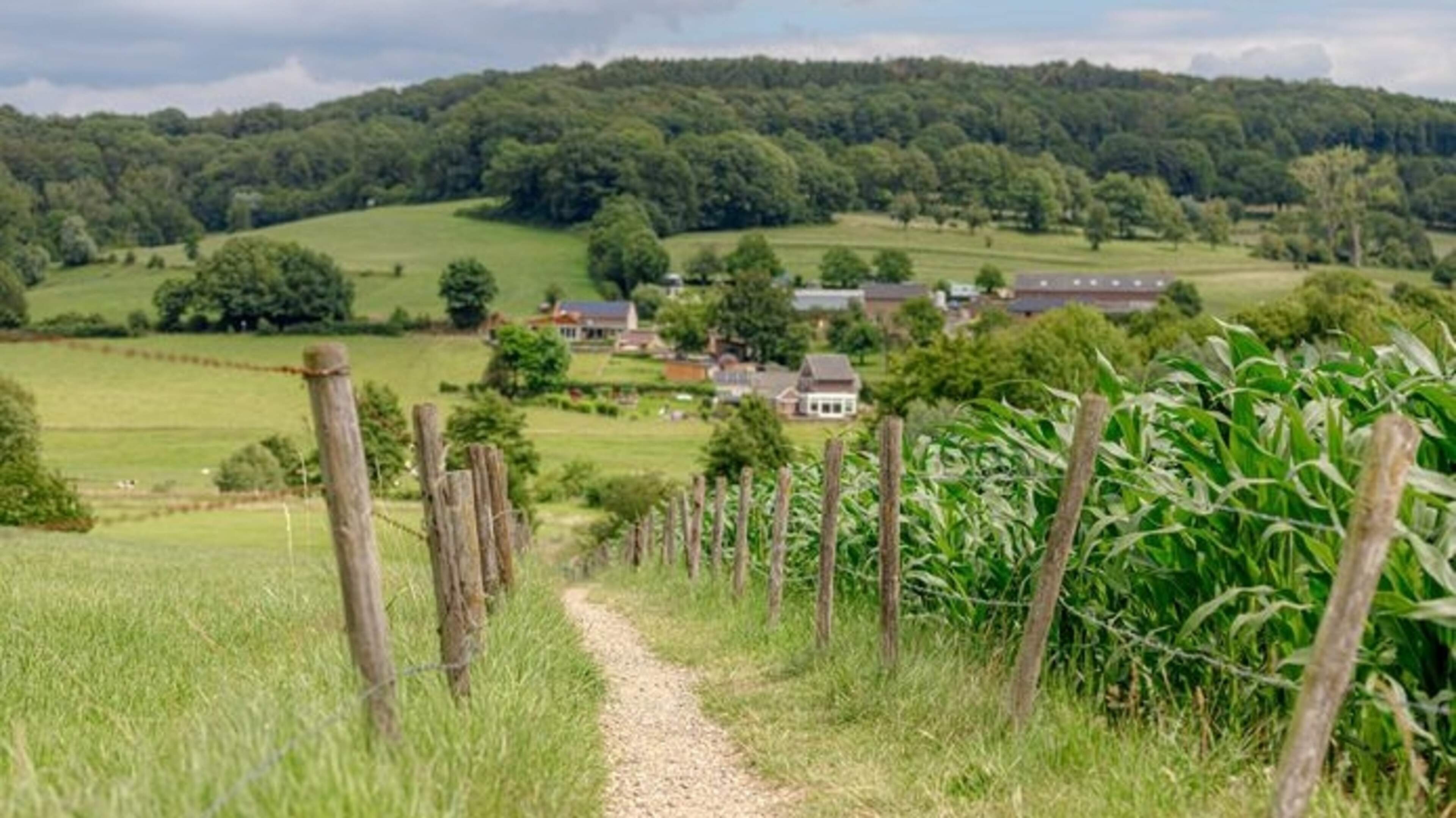 Drie dagen Nordic Walking in drie landen rond Vaals, voor Diabetesfonds