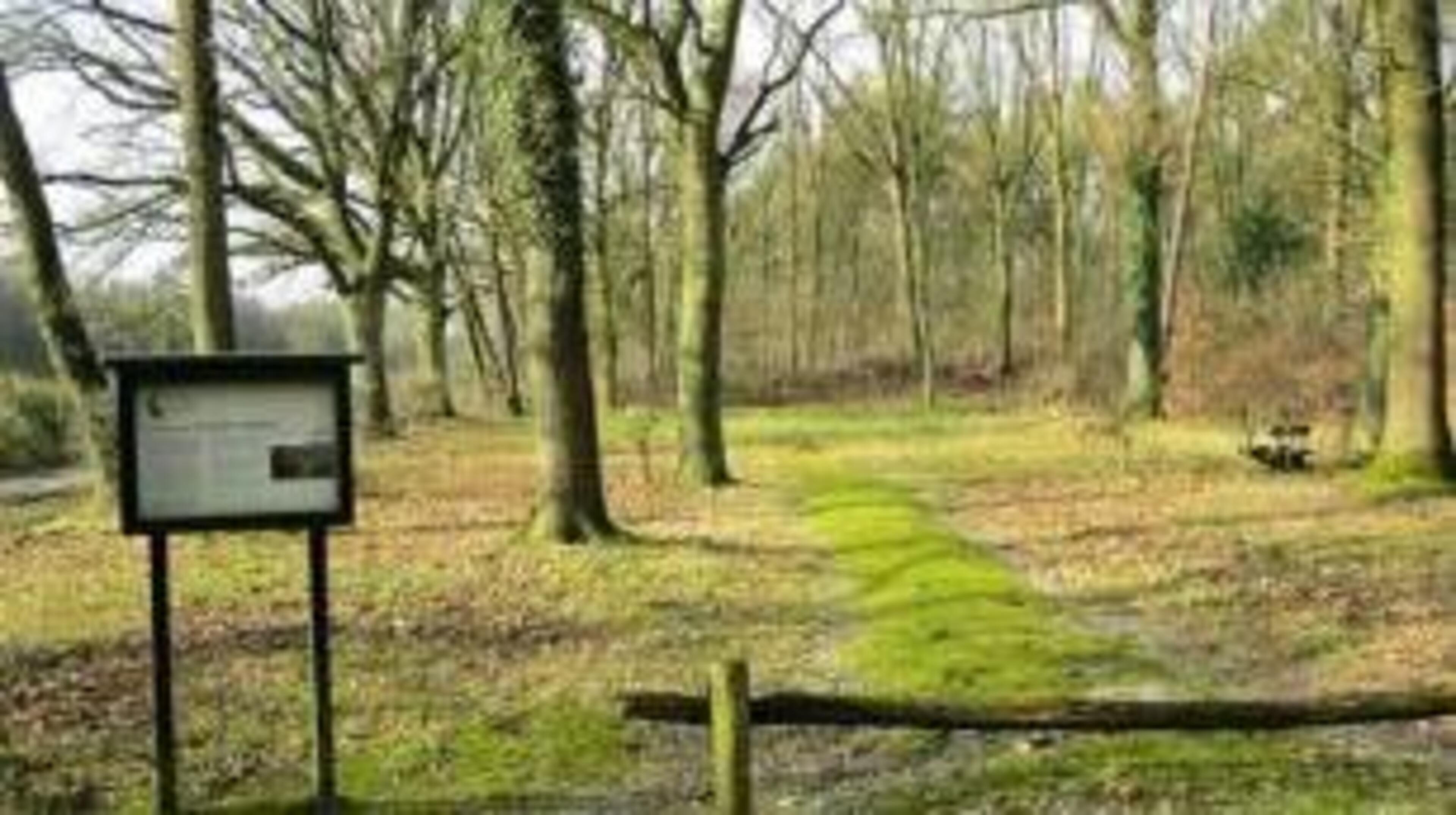 Grand Tour de Bree: wandelen door de natuurlijke omgeving van Maasbree