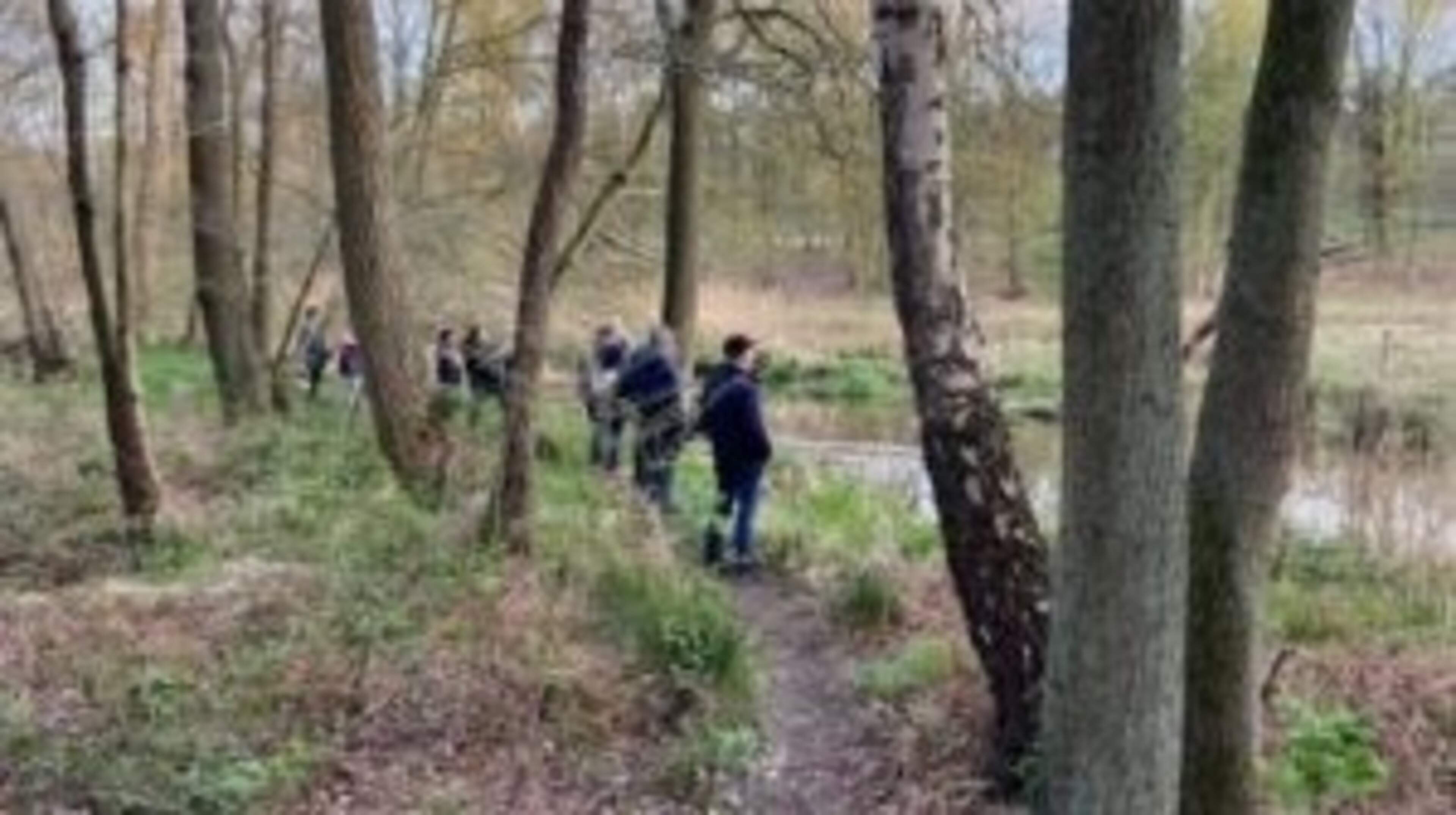 Groen Hart Leudal houdt een wandeling in het teken van de bever
