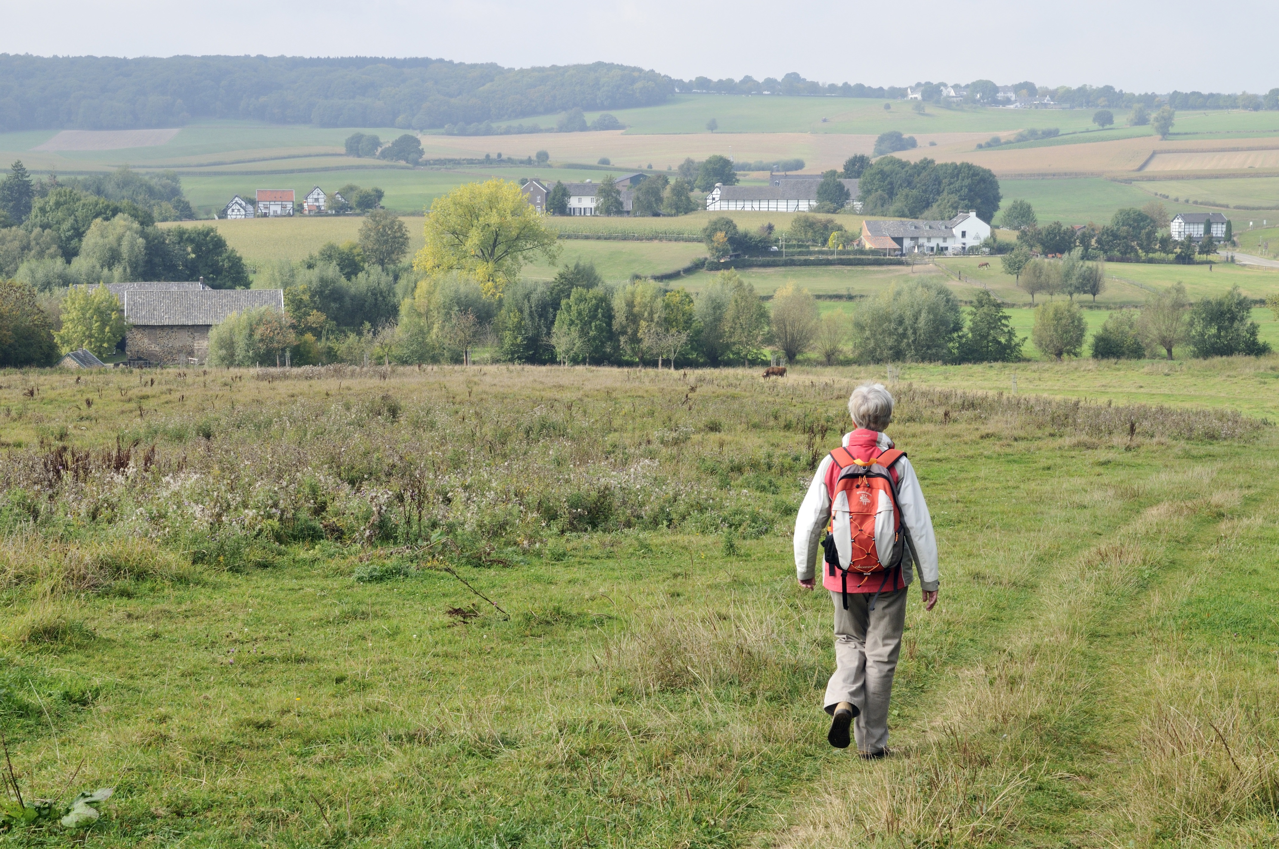 Wandelaars hebben veel waardering voor afwisselend landschap in het Geuldal
