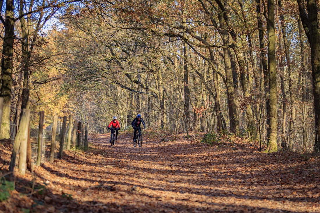 Rondje herfst op de fiets in Midden-Limburg