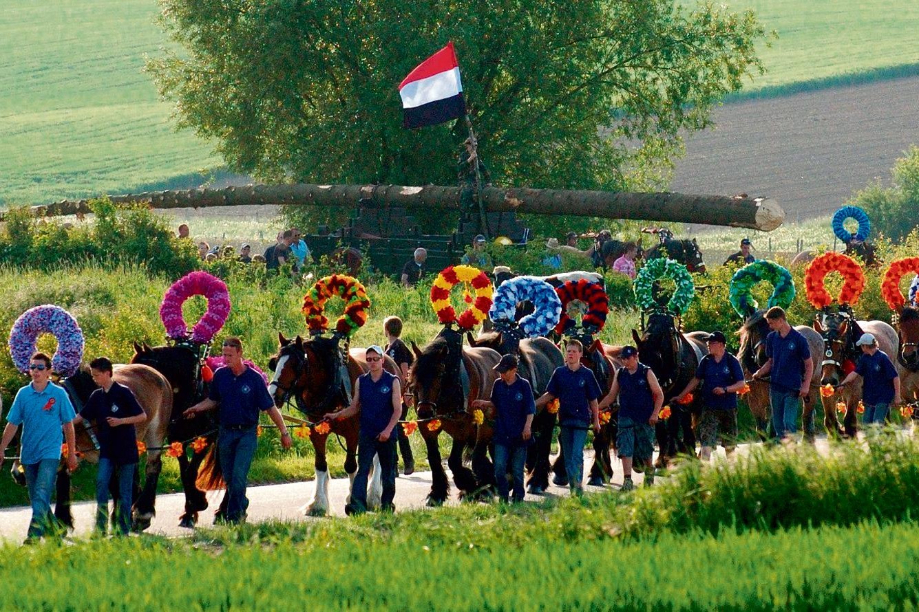 Hijgend Hert schiet jonkheden te hulp: in Vijlen staan nog sparren voor het den-halen