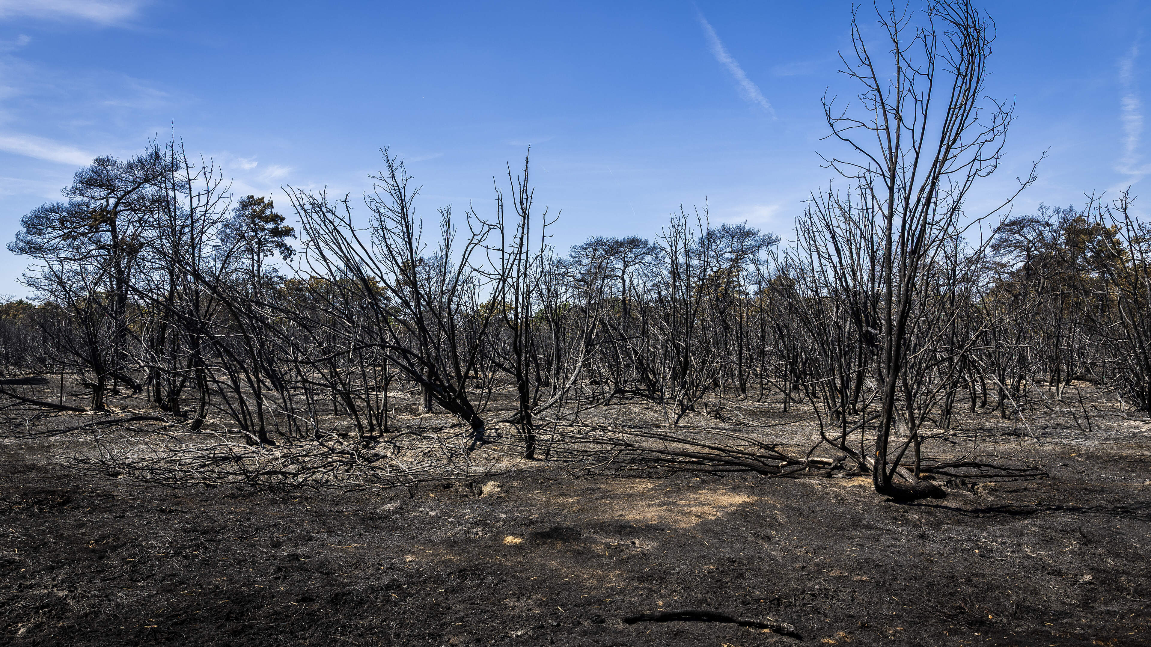 Klimaatweek in Venray wakkert waakvlammetje na natuurbrand weer aan: hoe kun je zelf meebouwen aan e