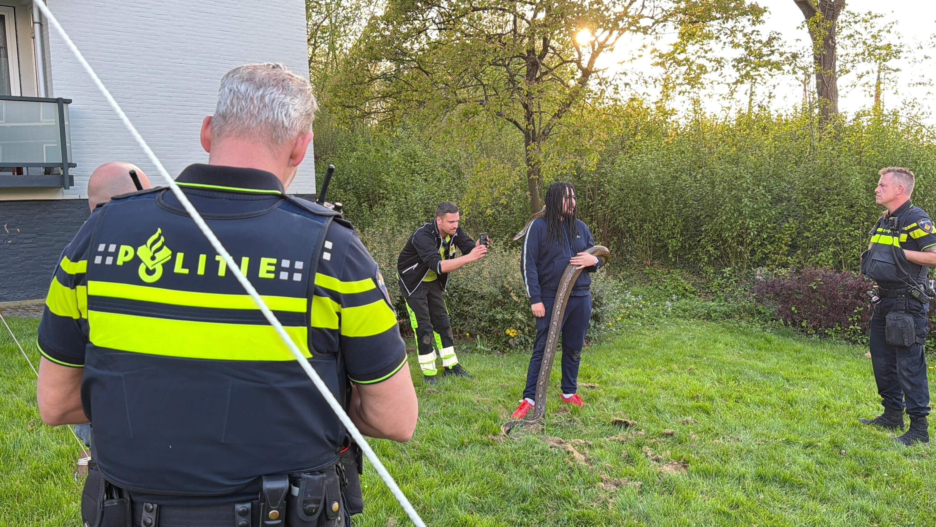 Uitgebroken slang in Vaals aangetroffen na tip buurtbewoners