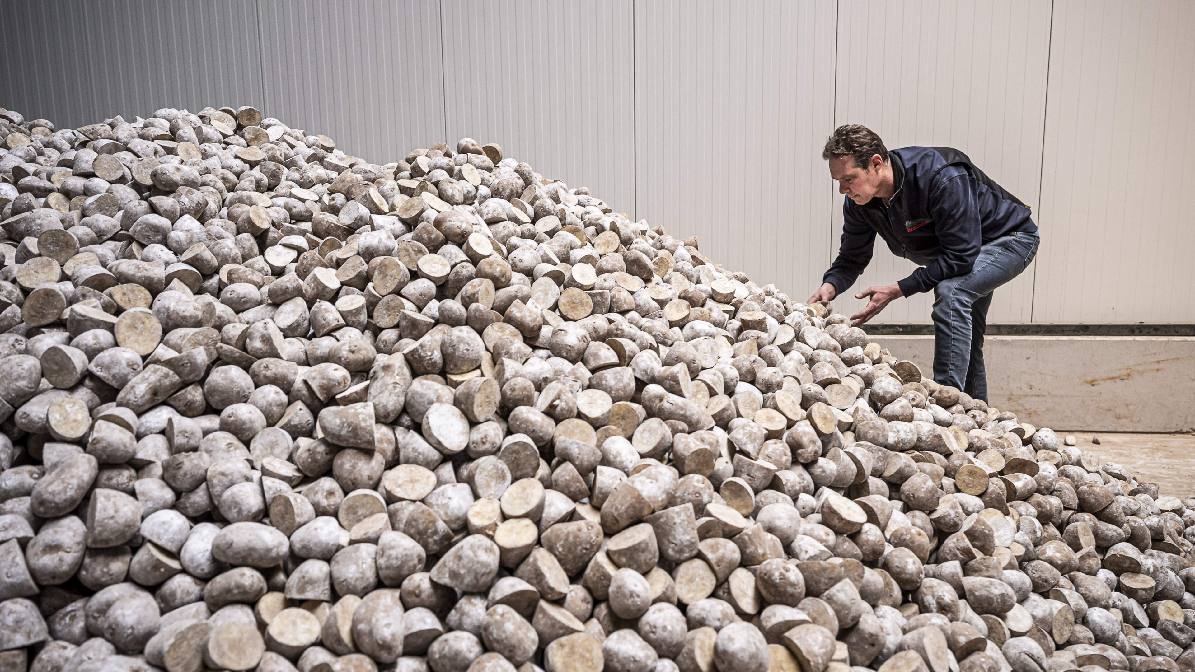 Boer Chris uit Ell vreest dat aardappelteelt voorbij is als middelen tegen ziektes vervallen: ‘Zette