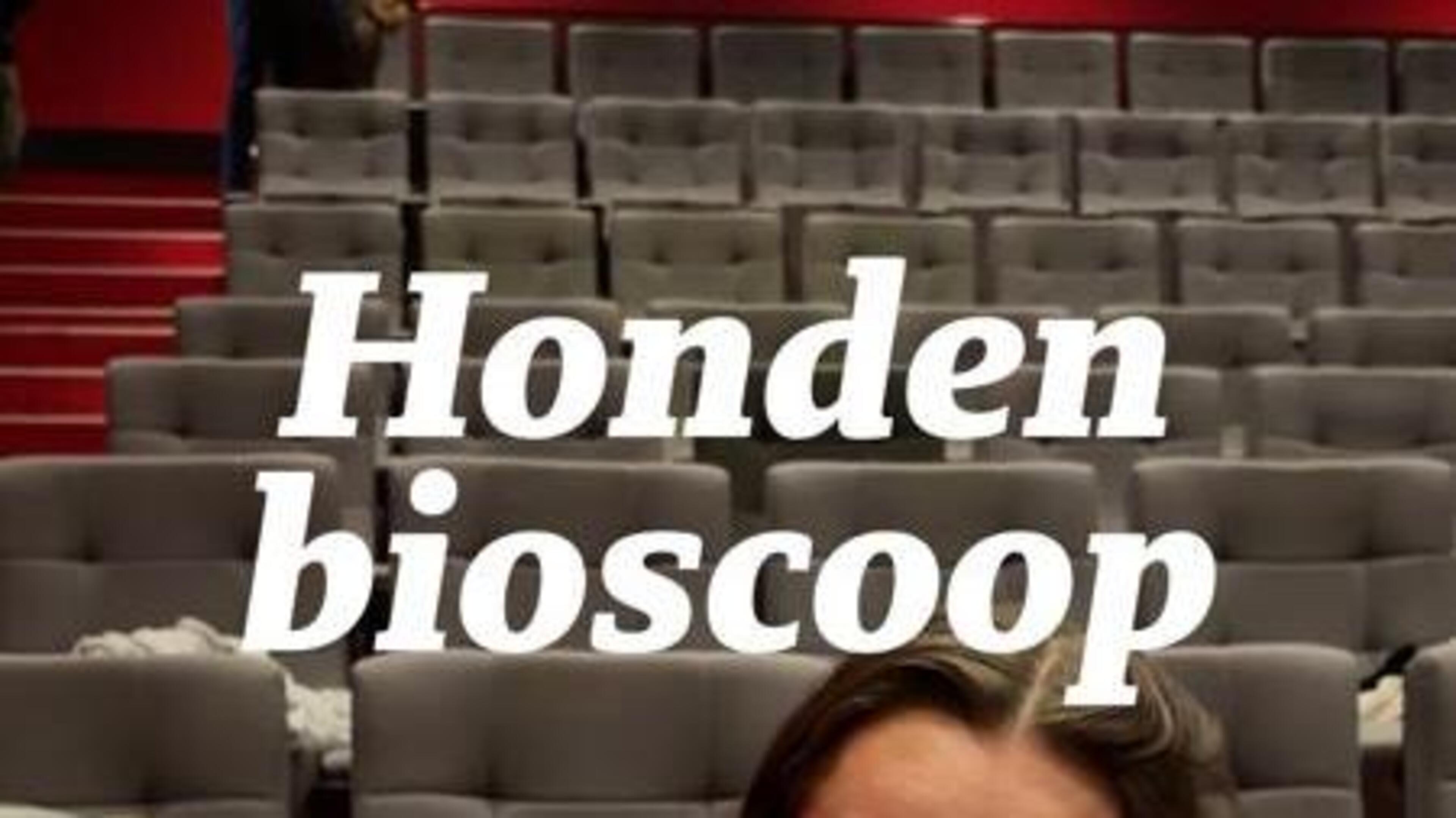 Het is dierendag: met je hond naar de bioscoop
