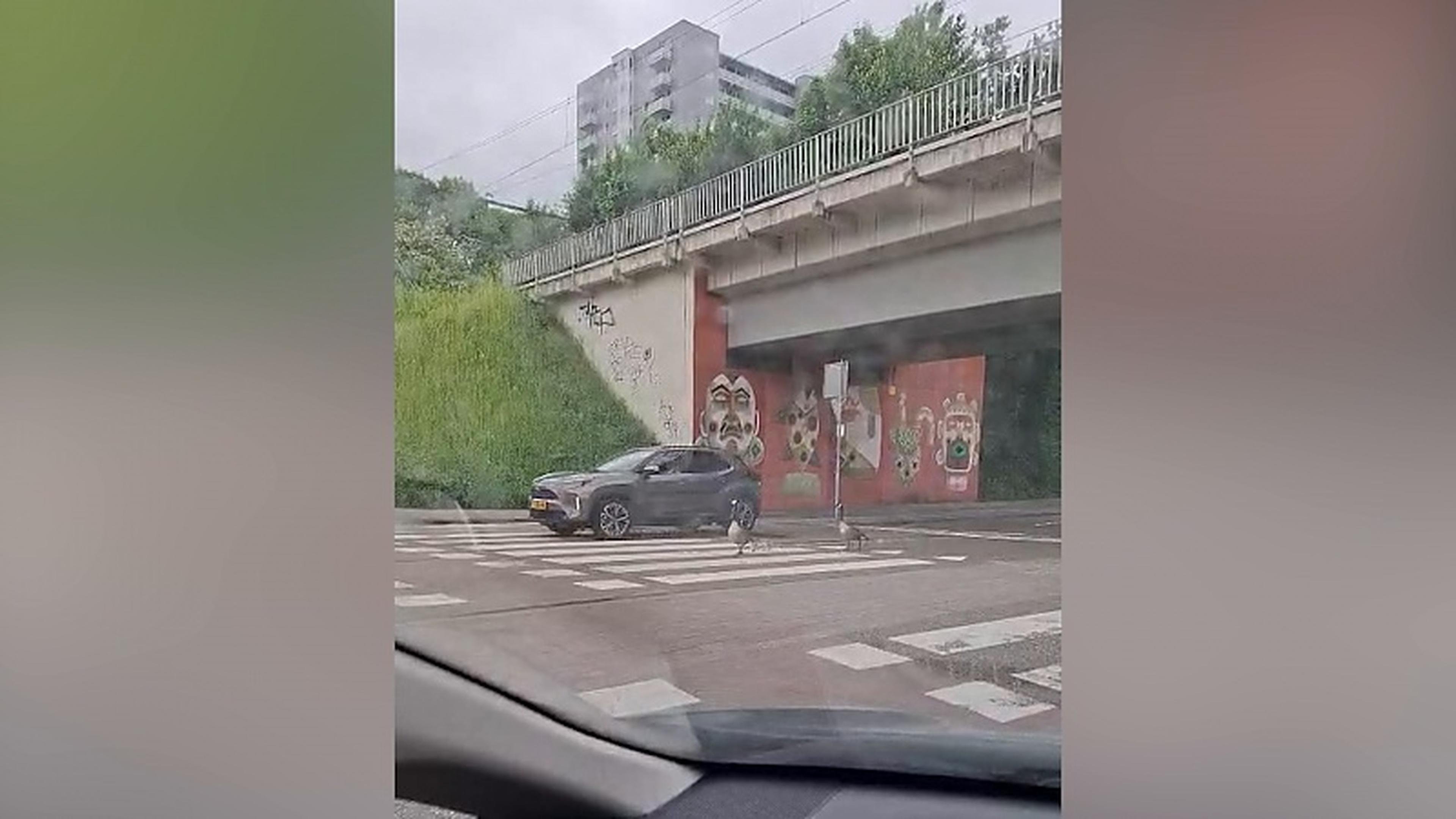 Praktijkles op de Schandelerboord in Heerlen