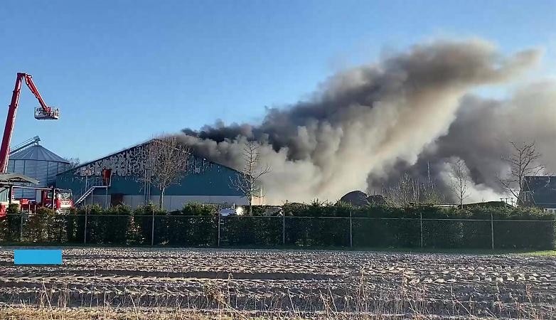 Opruimen asbest na grote brand in loodsen Lottum, groot aantal landbouwvoertuigen verwoest