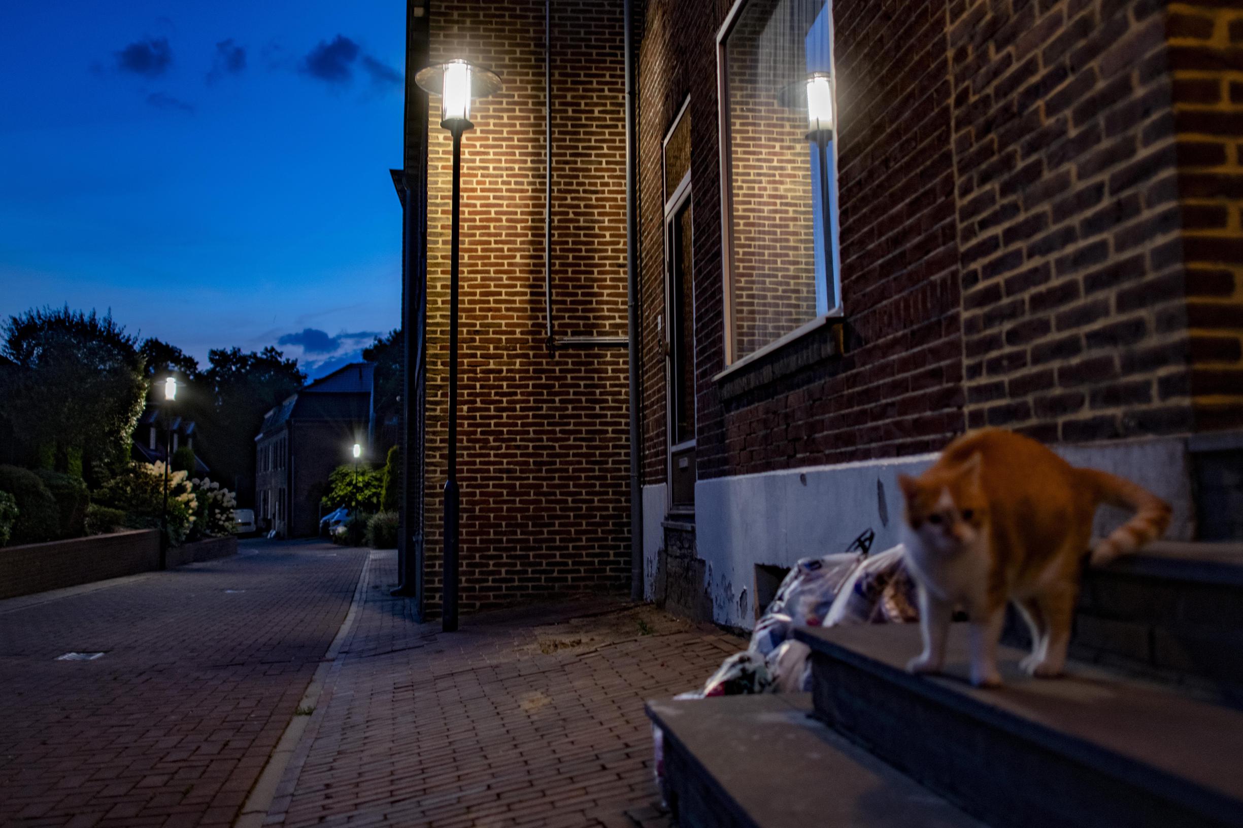 Nieuwe straatverlichting leidt tot klachten in Munstergeleen en Broeksittard: ‘Alsof er een tl-buis 