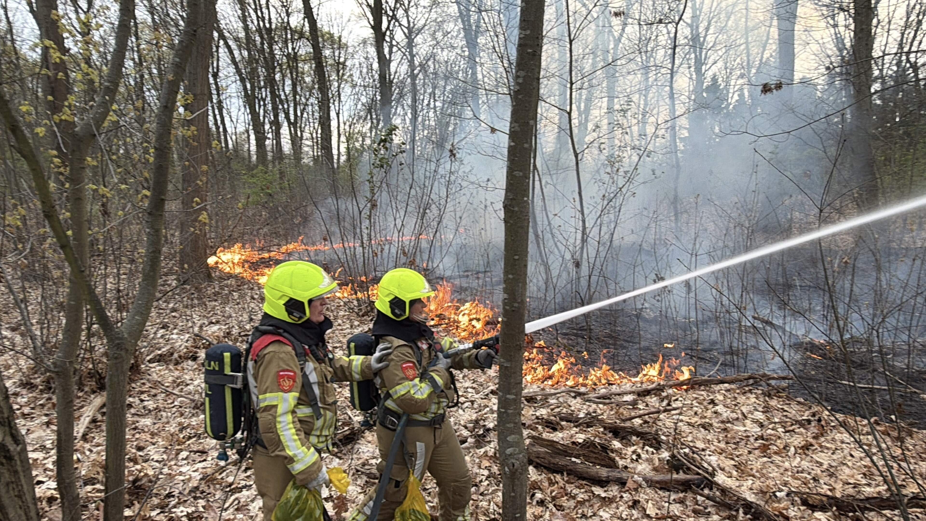 Brand in bosgebied in Helden