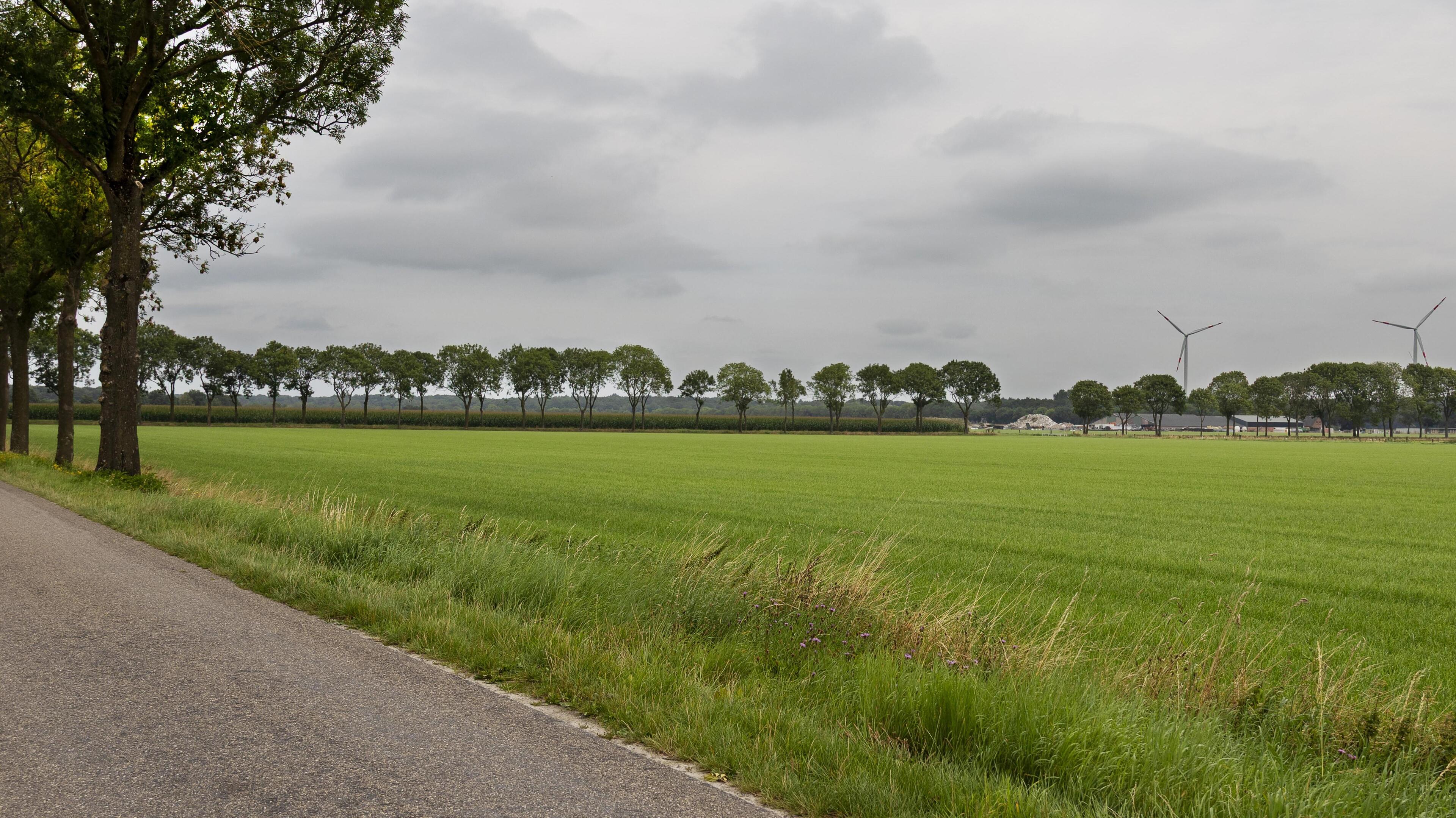 Provincie sluit windturbines in ‘t Hanik niet uit, actievoerders blijven zich tegen plannen verzette