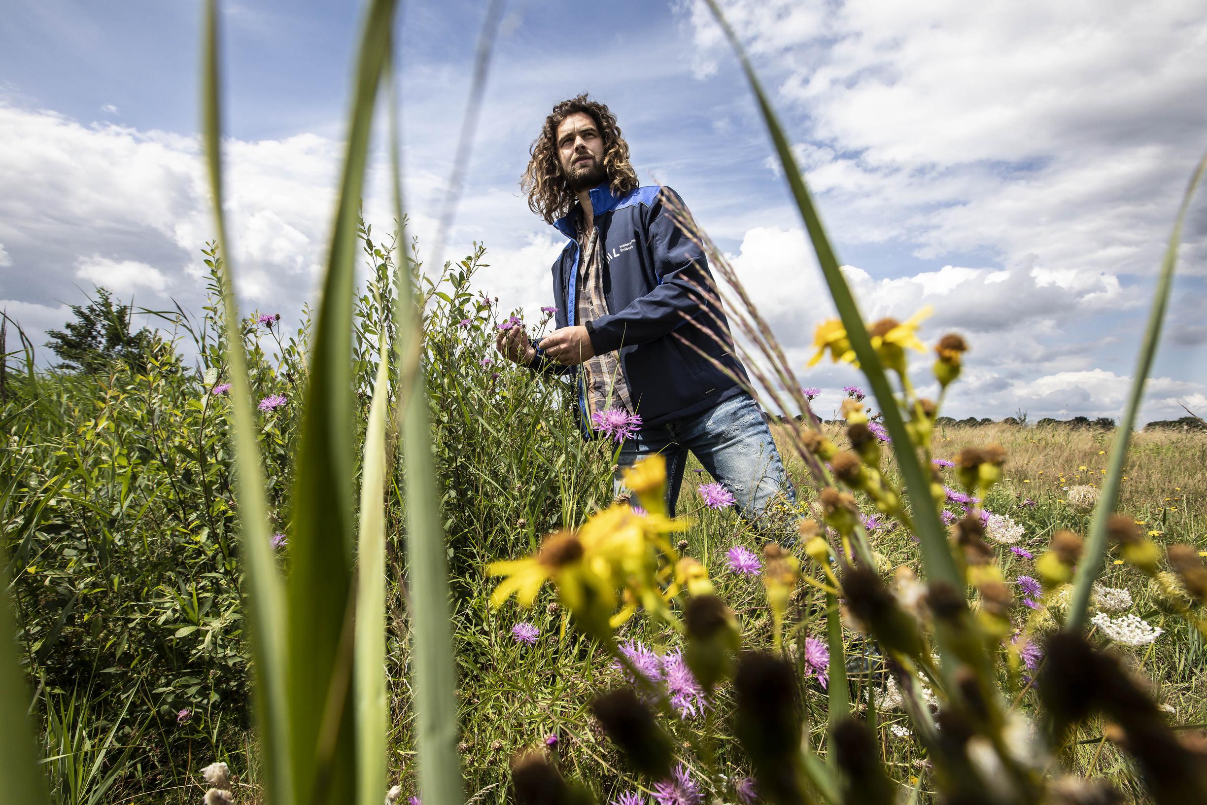 Waterschap zoekt balans tussen veiligheid en groen: ‘Of we het nu kort houden of niet, maaiwerk bij 