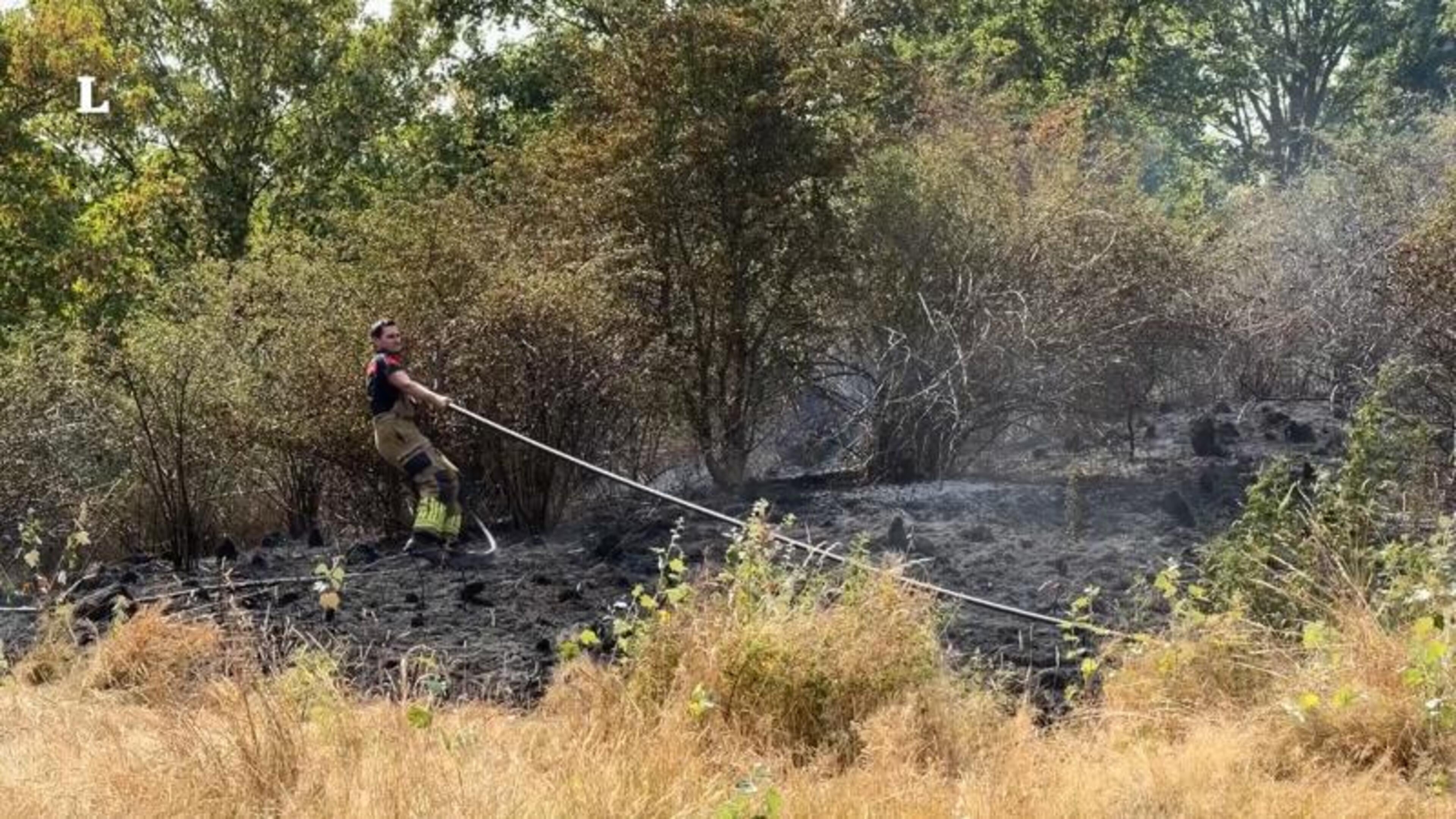 Brandweer rukt uit voor natuurbrand in Hoensbroek