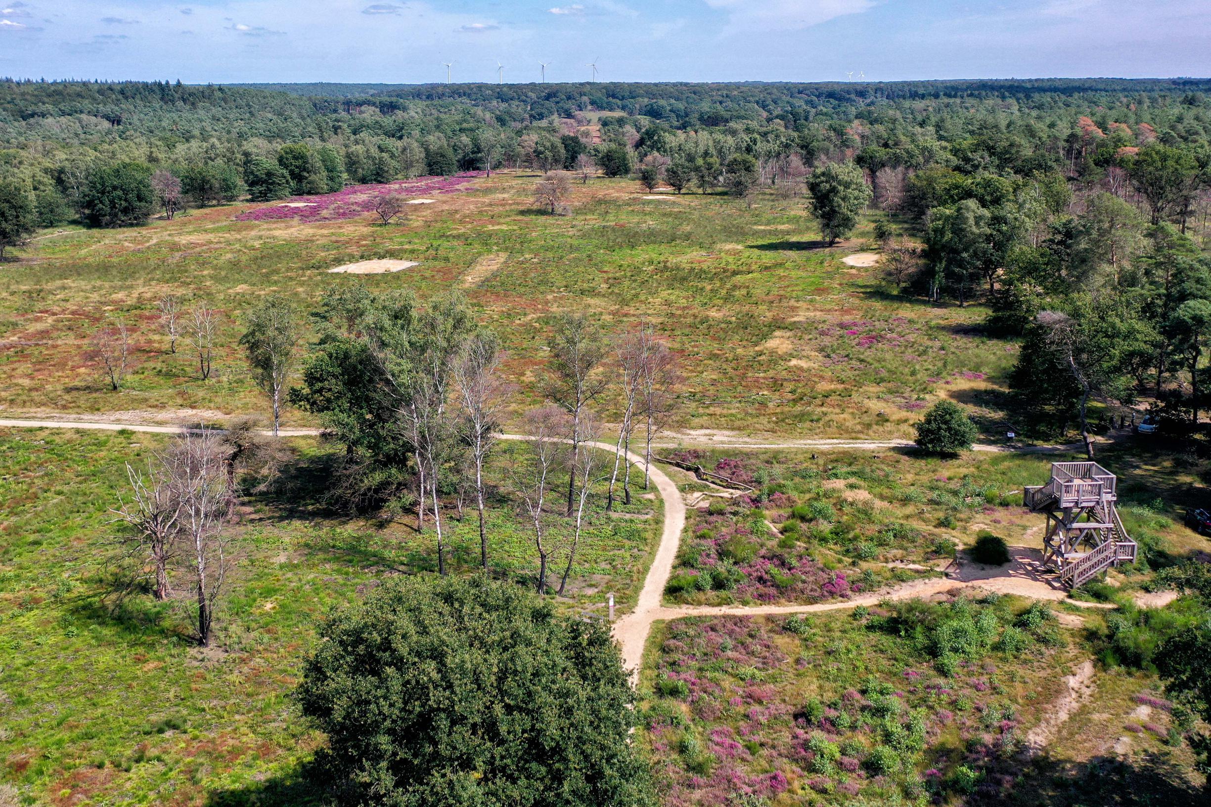 Na tegenslag gloort er weer hoop voor Nationaal Park De Meinweg nieuwe stijl