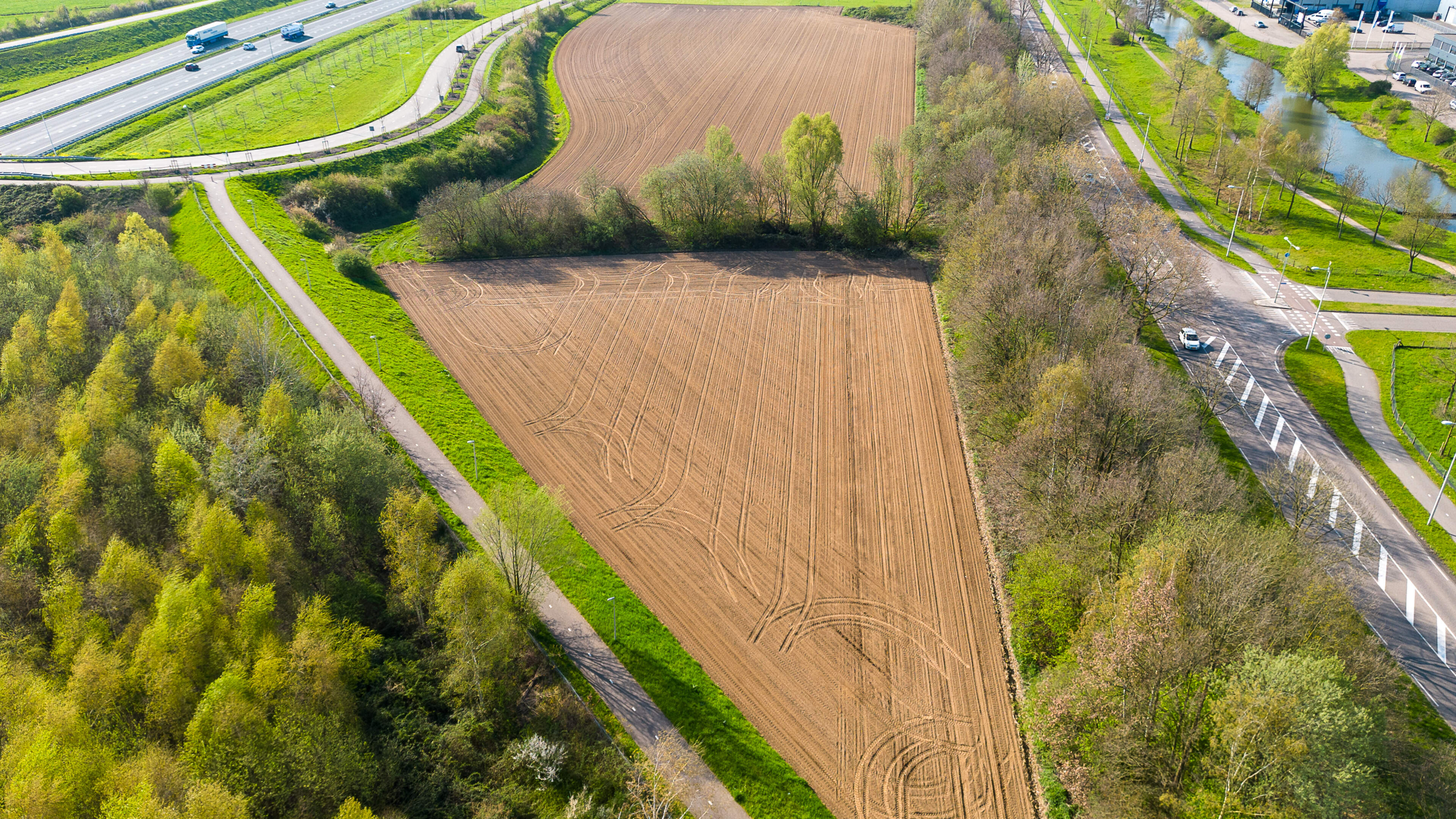 Ecoloog wil nieuw onderzoek naar dassen Wirosingel: ‘Onjuiste conclusies gemeente Roermond’