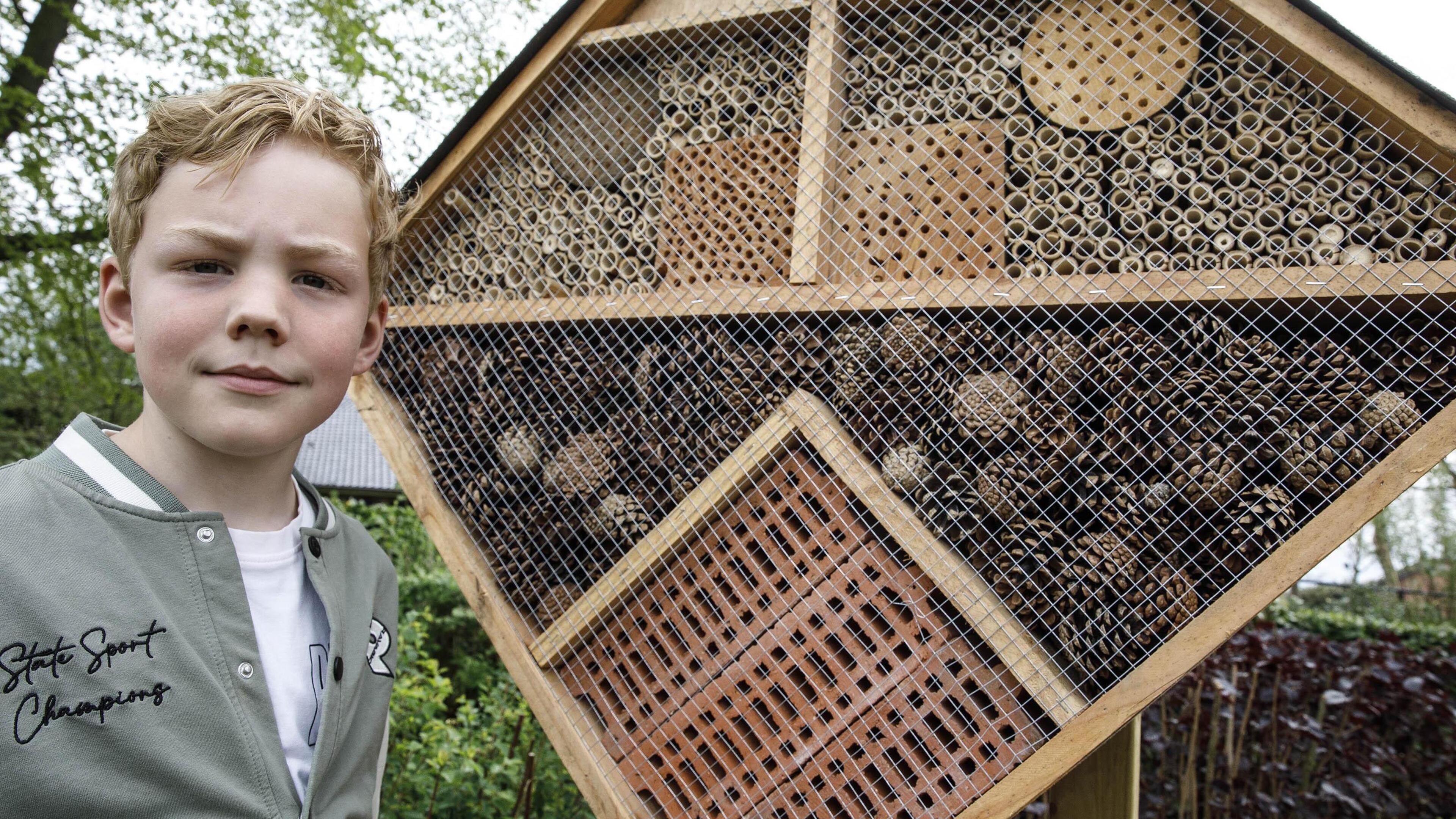 Door Niels en zijn zus staan er nu bijenhotels in elk dorp van Roerdalen: ‘Bijen zorgen voor onze bl