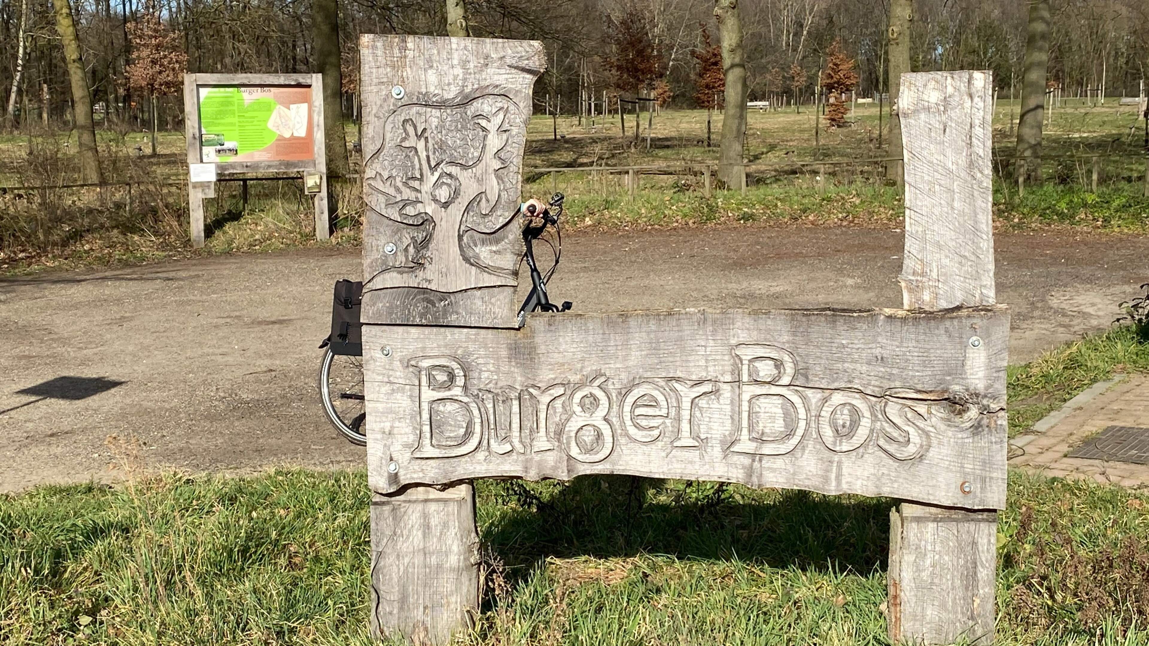 Bijen en biodiversiteit centraal op open dag Burgerbos in Reuver