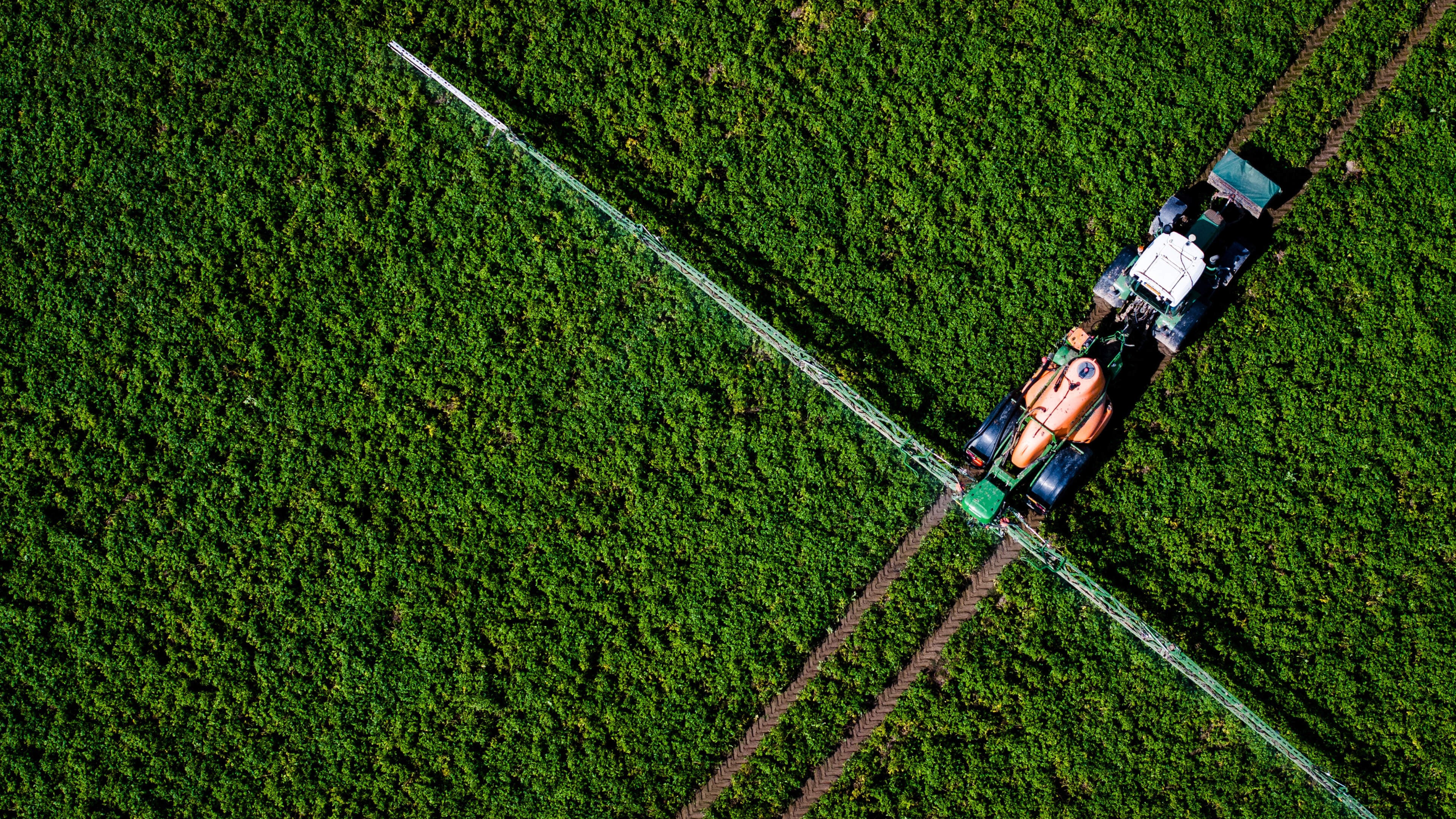 Wie zich bezighoudt met illegale pesticiden zoals de partij in Herkenbosch, belandt zelden voor de s