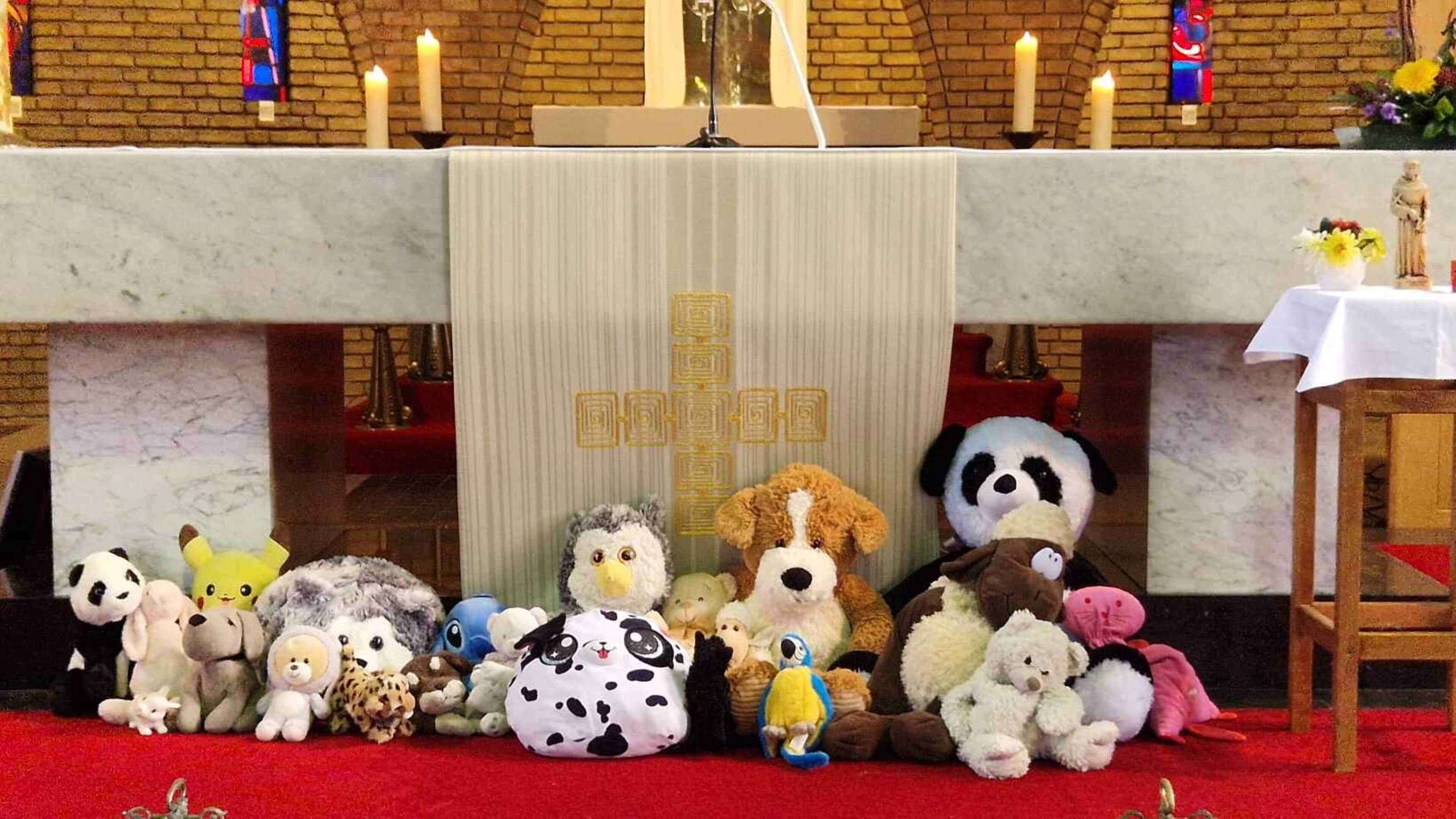 Dieren en knuffels krijgen de zegen in de kerk van Overhoven