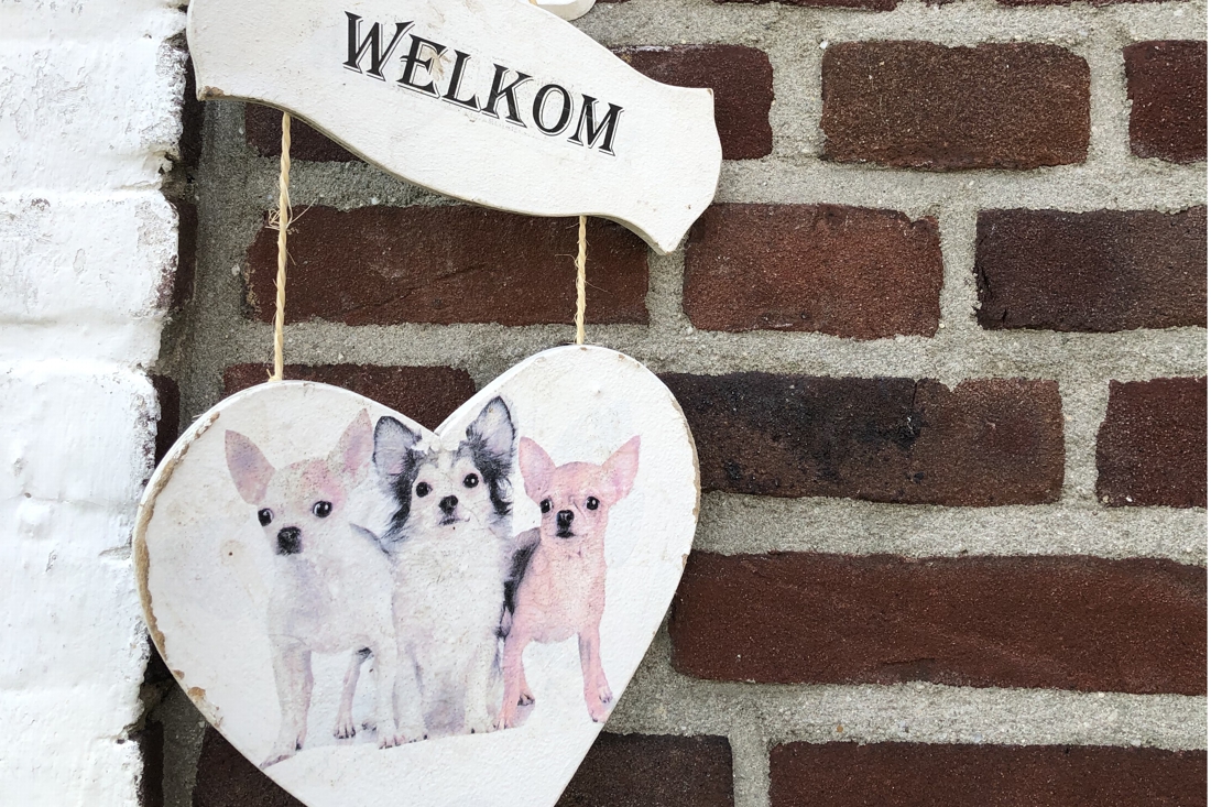 Buurt wordt gek van keffende hondjes: ‘Wij willen ze houden tot ze doodgaan’