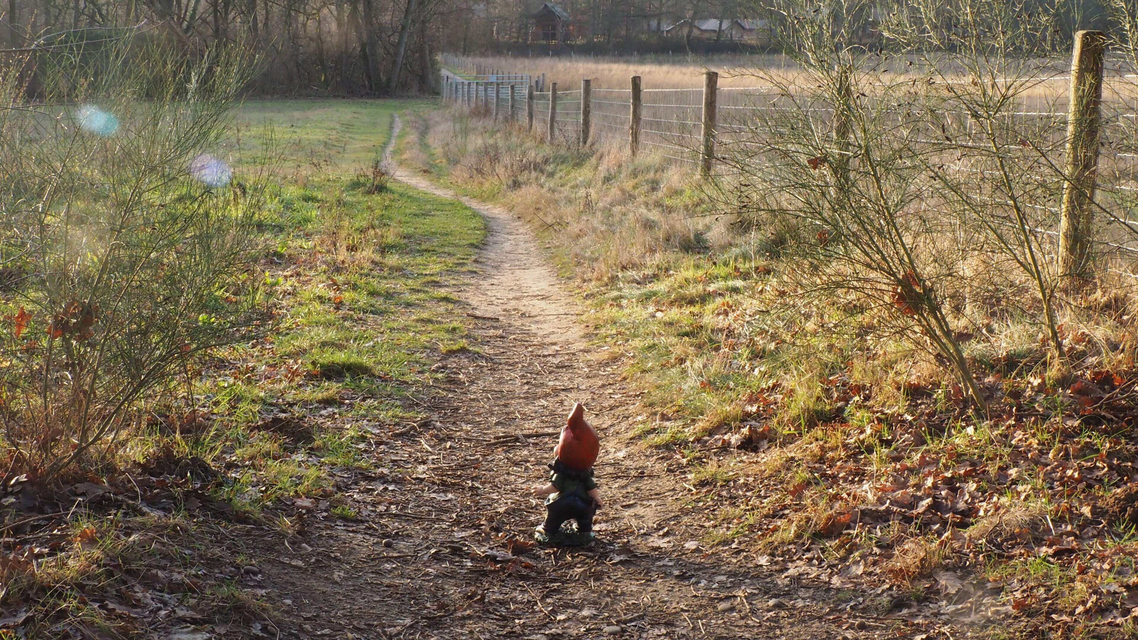 Fotozoektocht: ga op zoek naar de vermiste kabouter