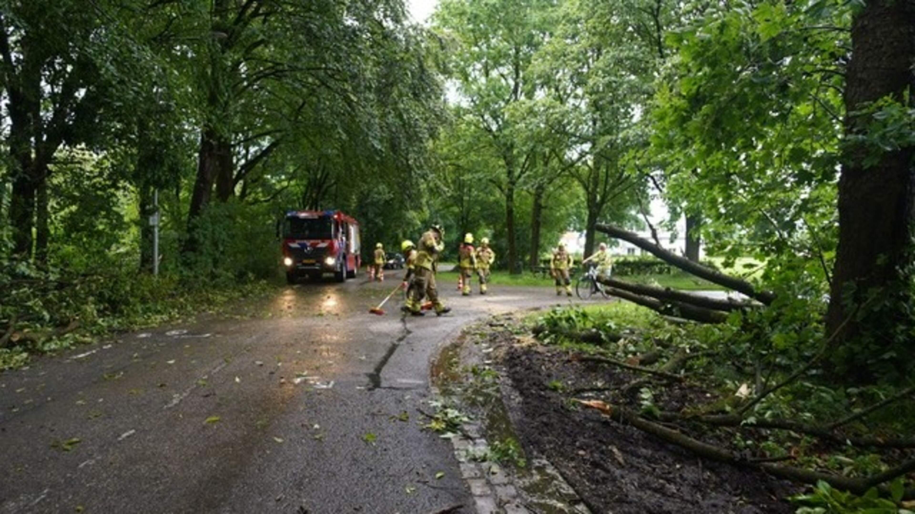 Stormschade in Epen en Landgraaf: bomen vallen op weg en moeten door brandweer worden verwijderd