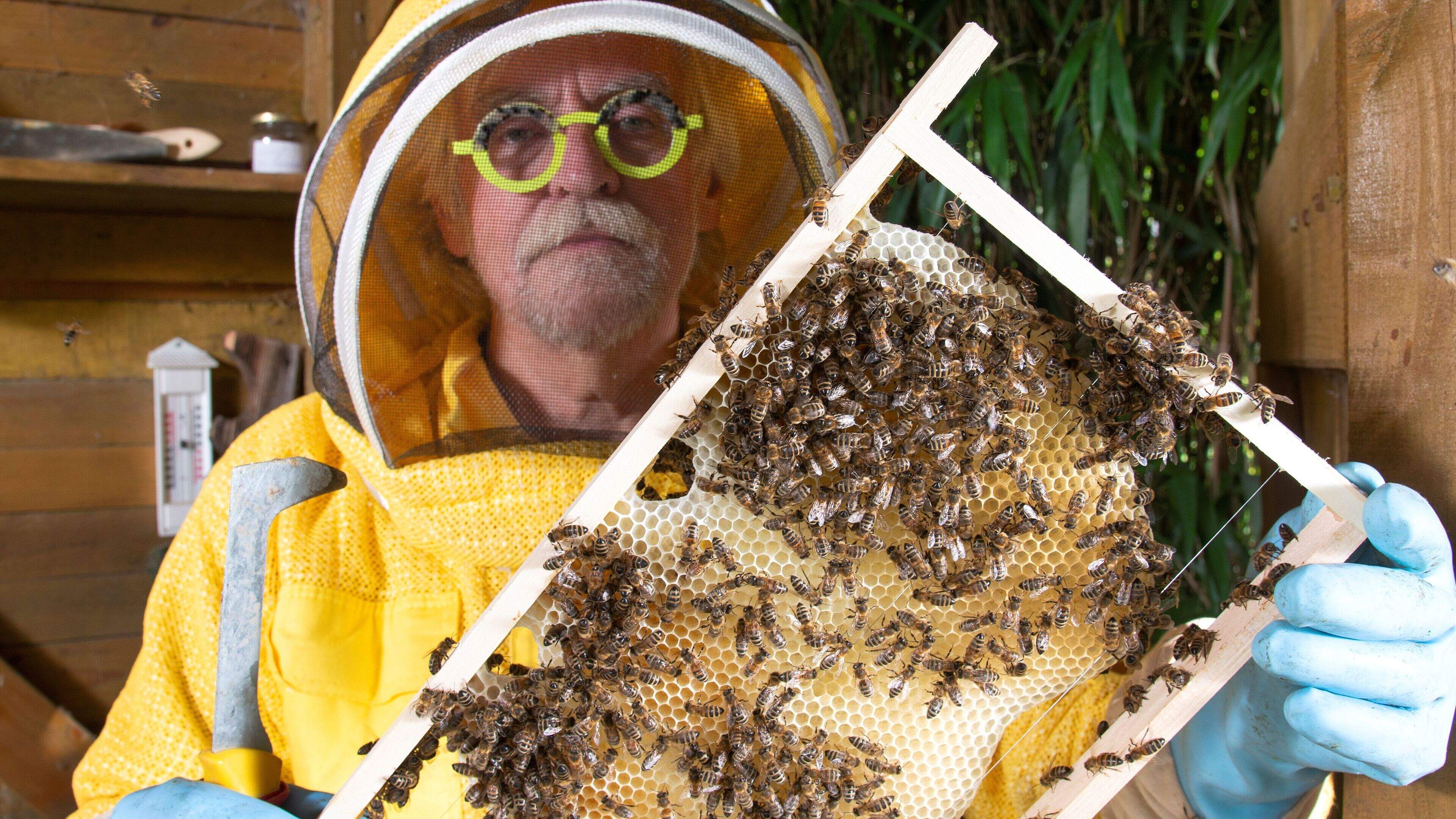 Open Imkerijdag bij Imkerij Abeilles Martin op Ülingsheide in Tegelen