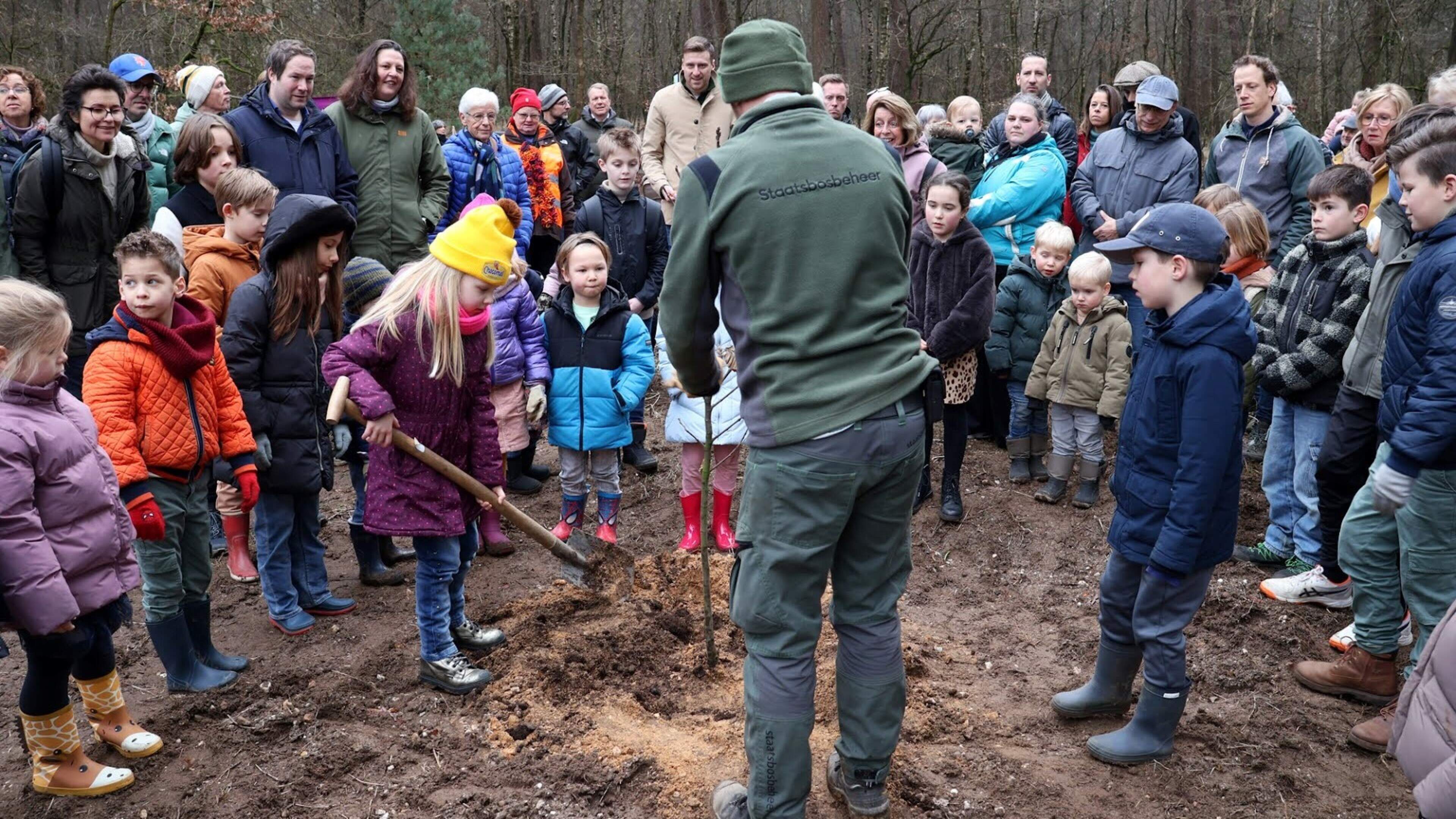 Primeur in Limburg: kinderen planten eerste bomen in Kinderbos De Meinweg