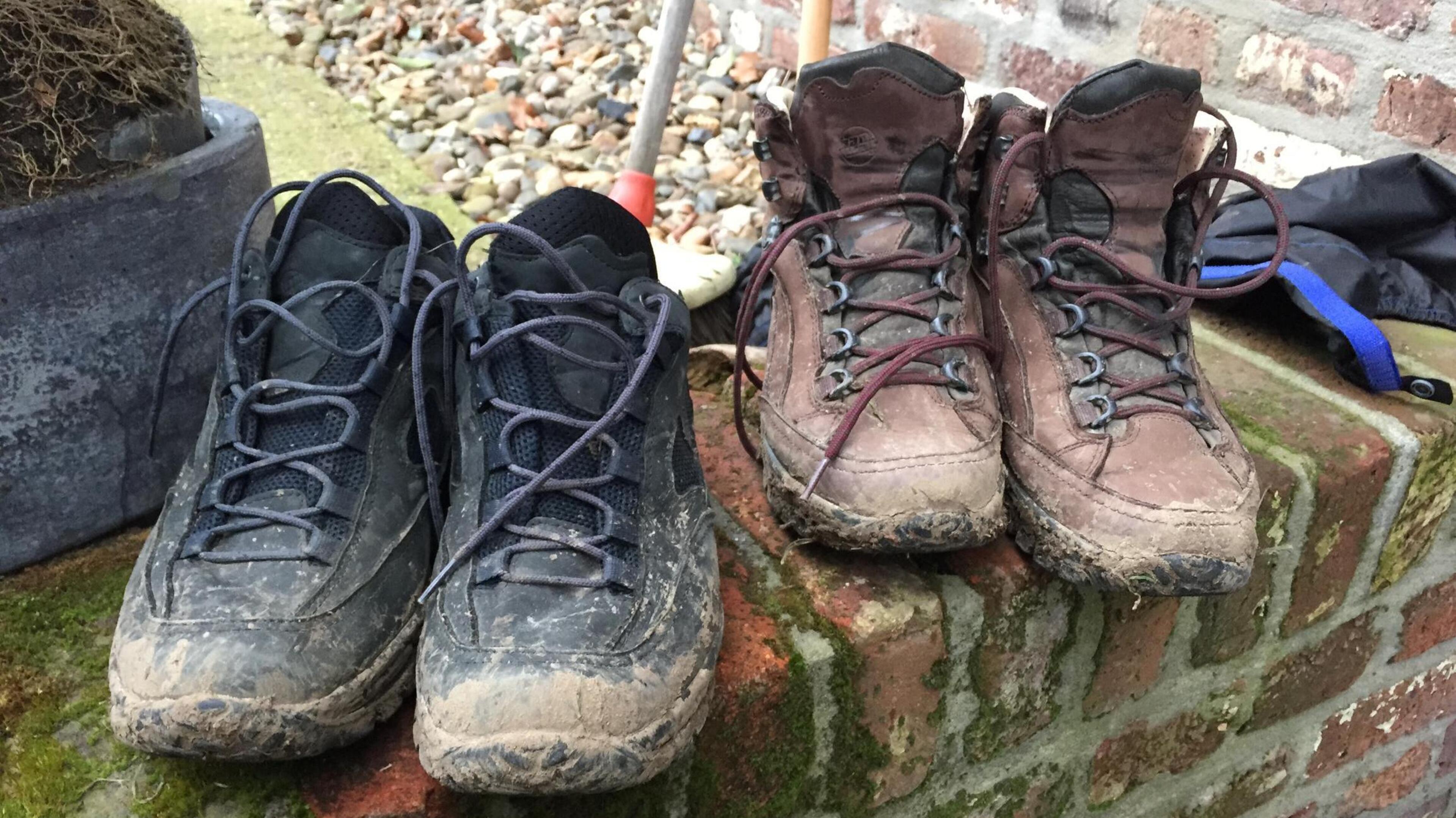 Wandelvereniging Vilt viert 70ste verjaardag met jubileumwandeling